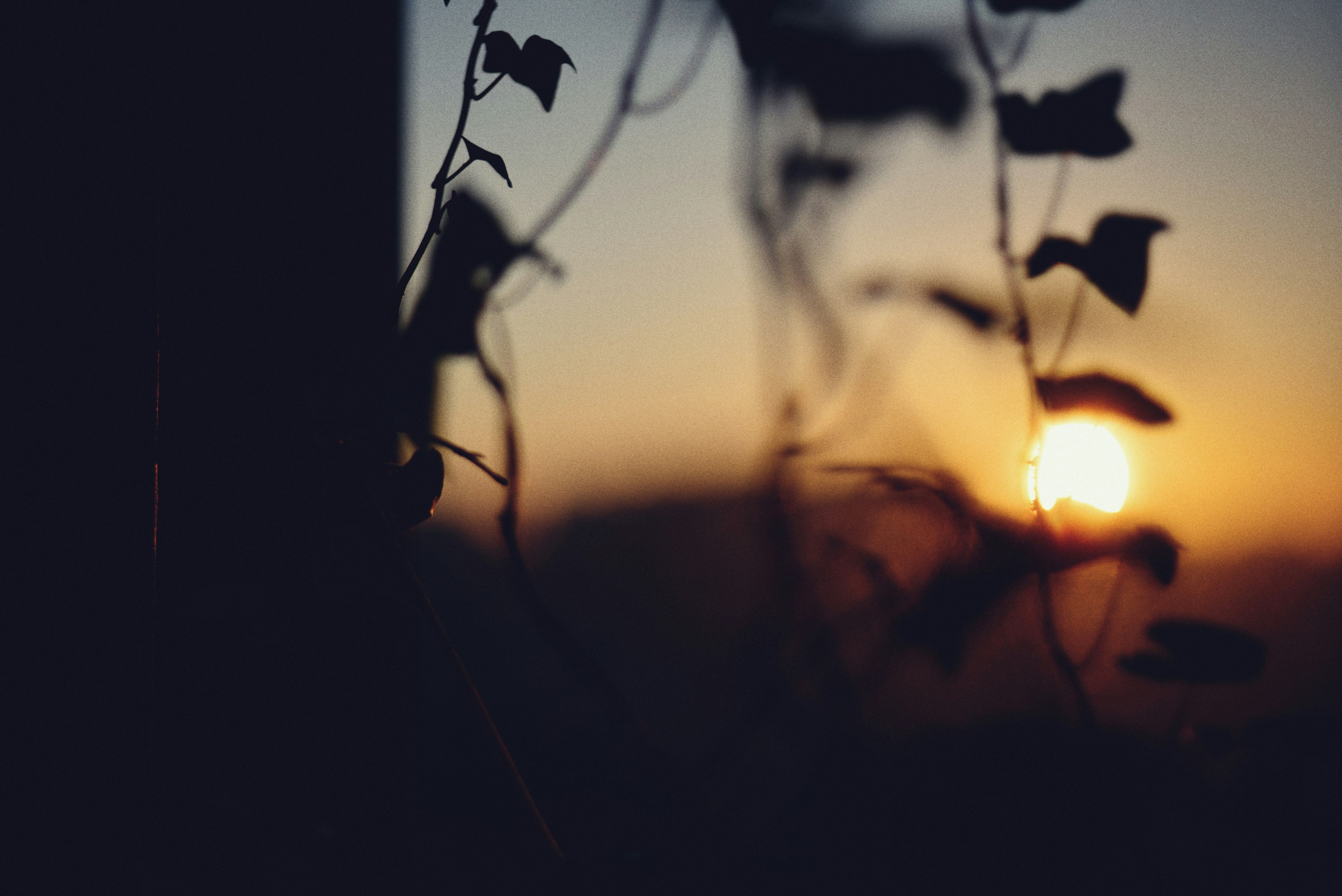 Photo by cherstve_pechivo