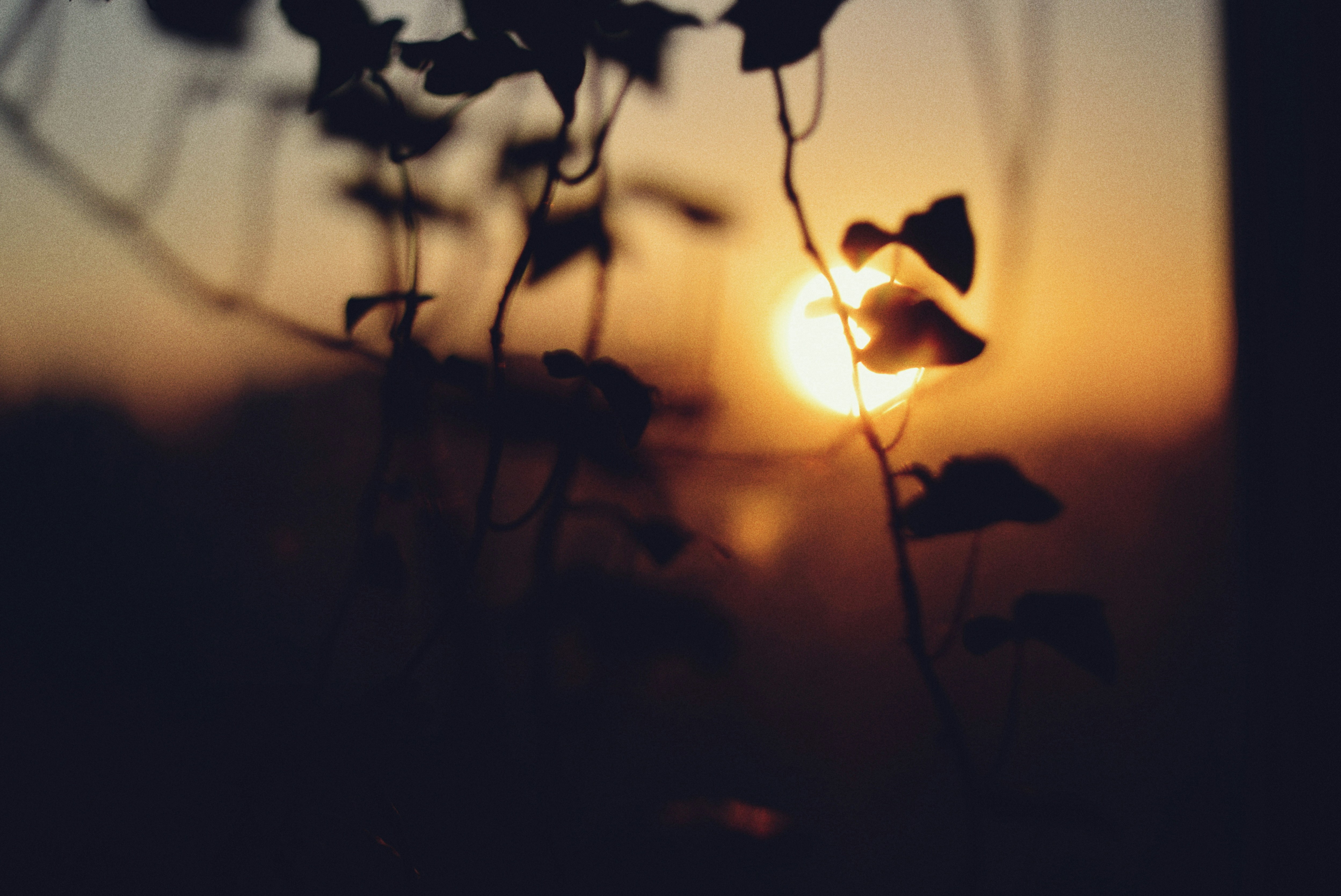 Photo by cherstve_pechivo