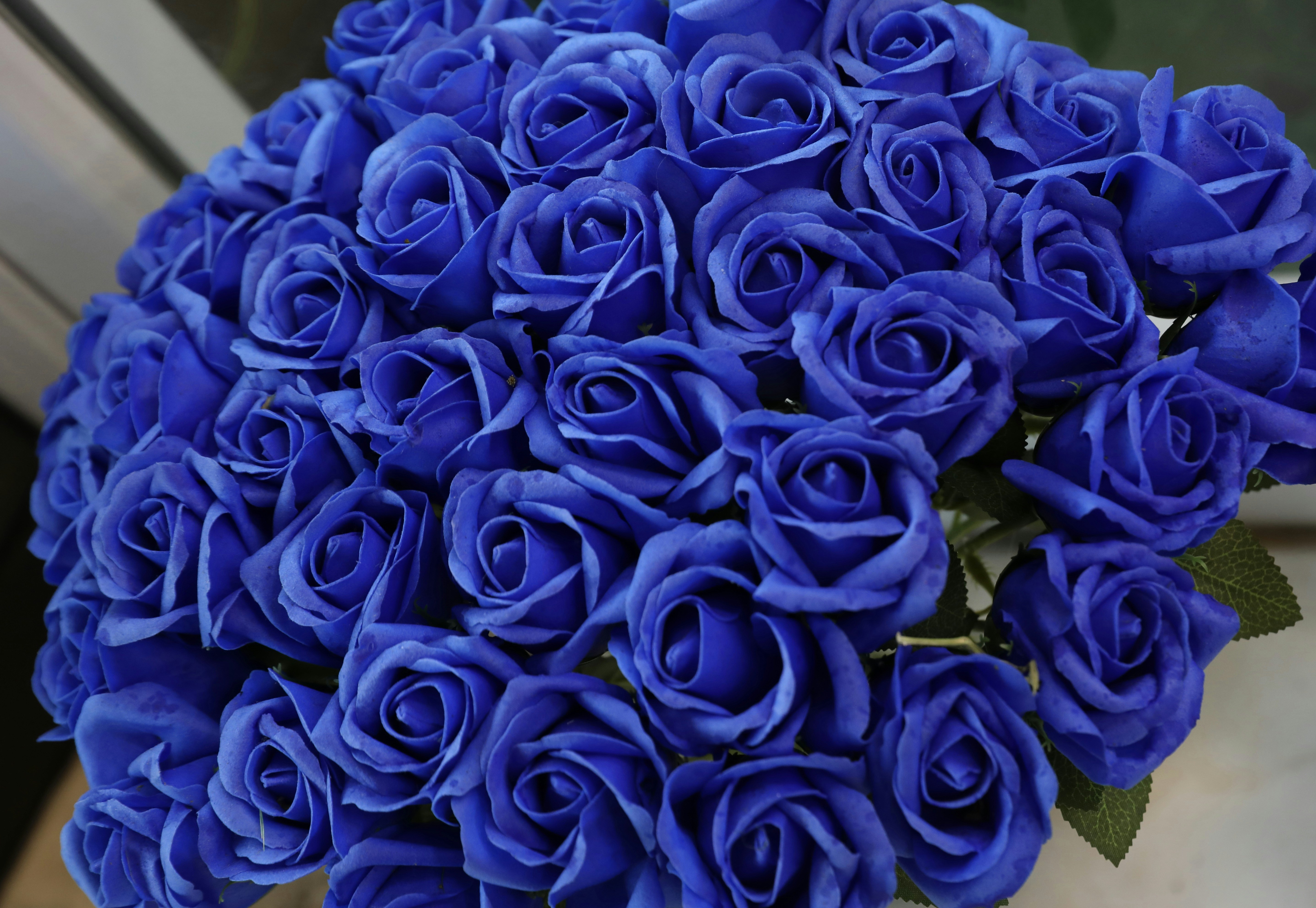 A large bouquet of deep blue roses