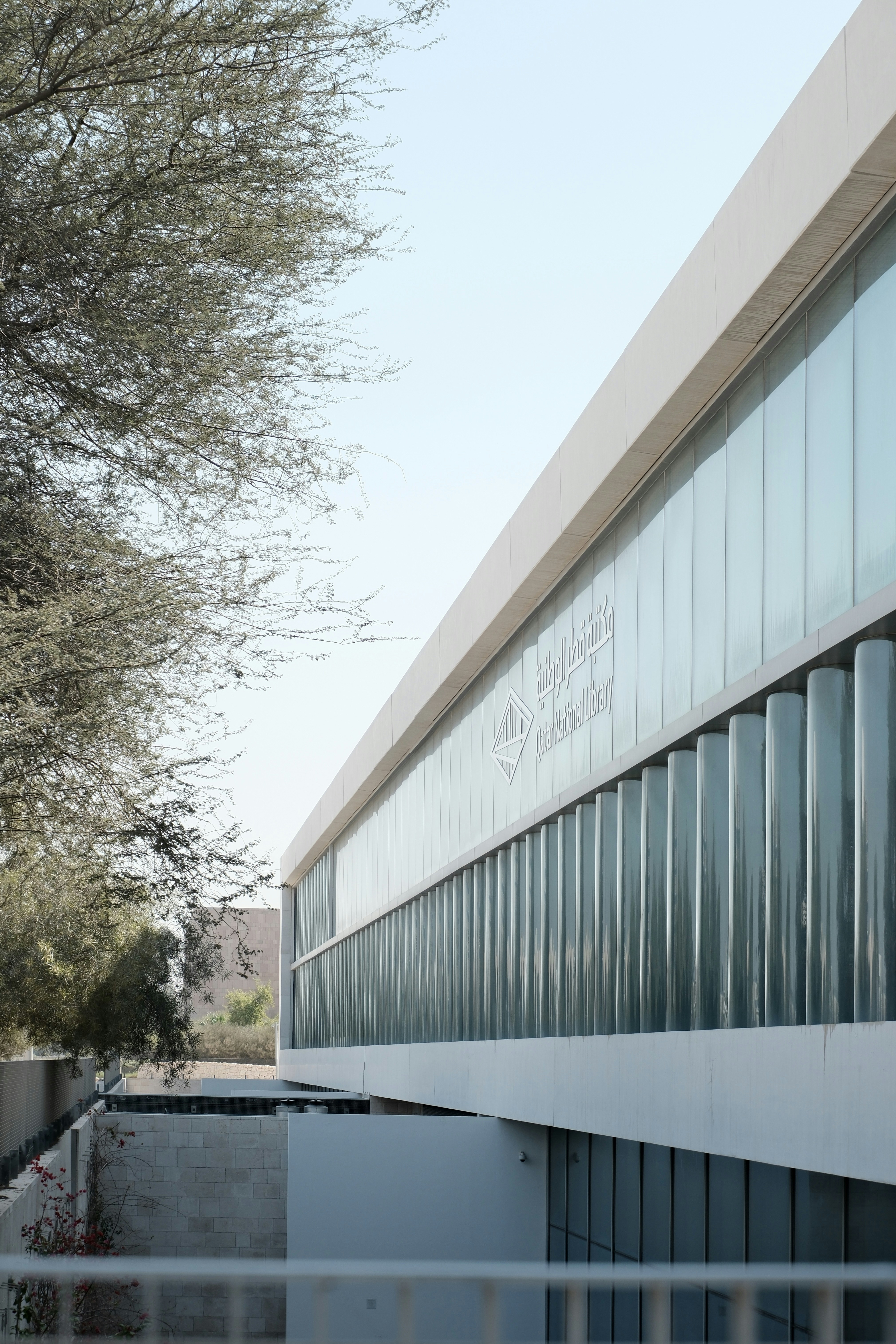 Photo by andrew_jonel