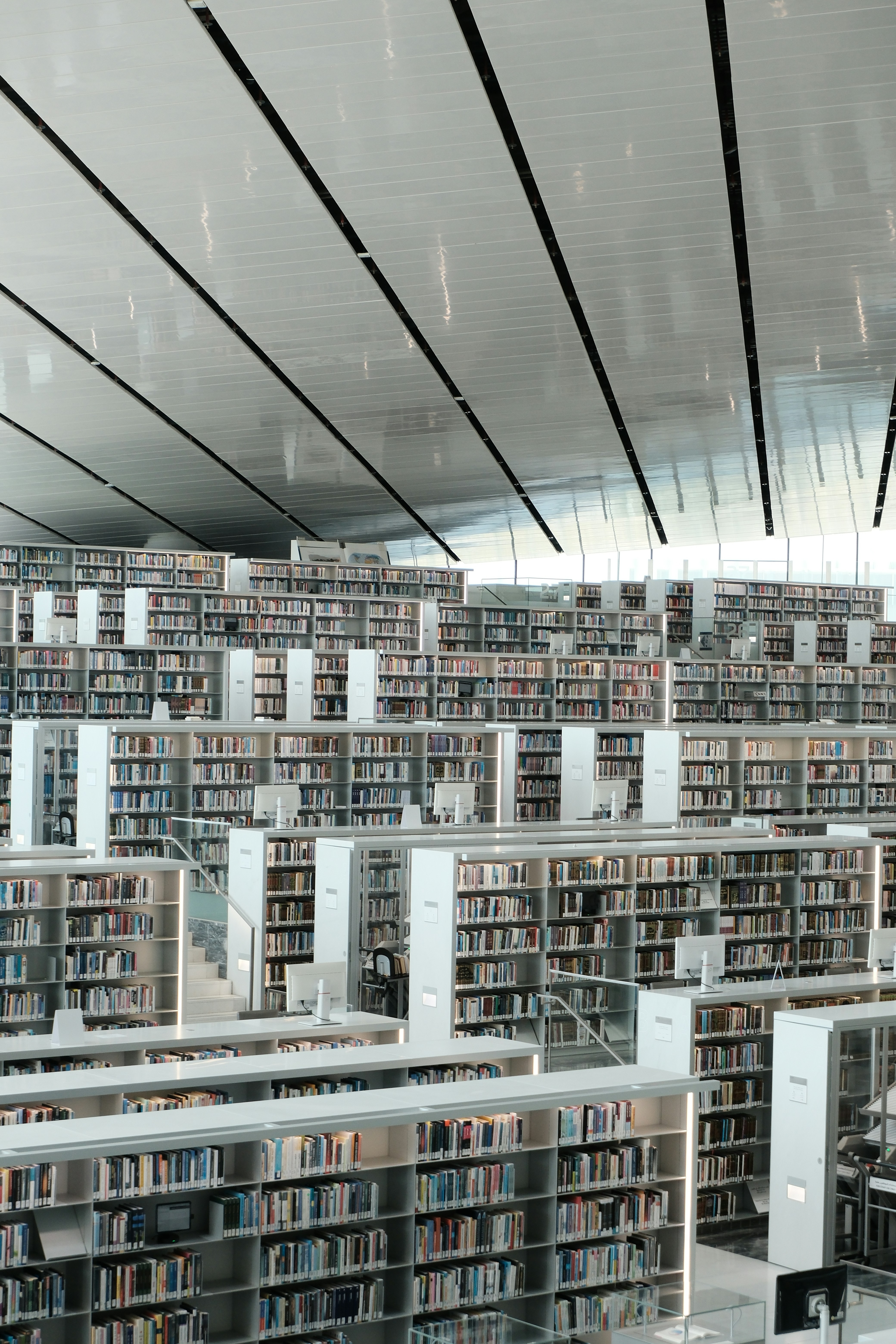 Photo by andrew_jonel