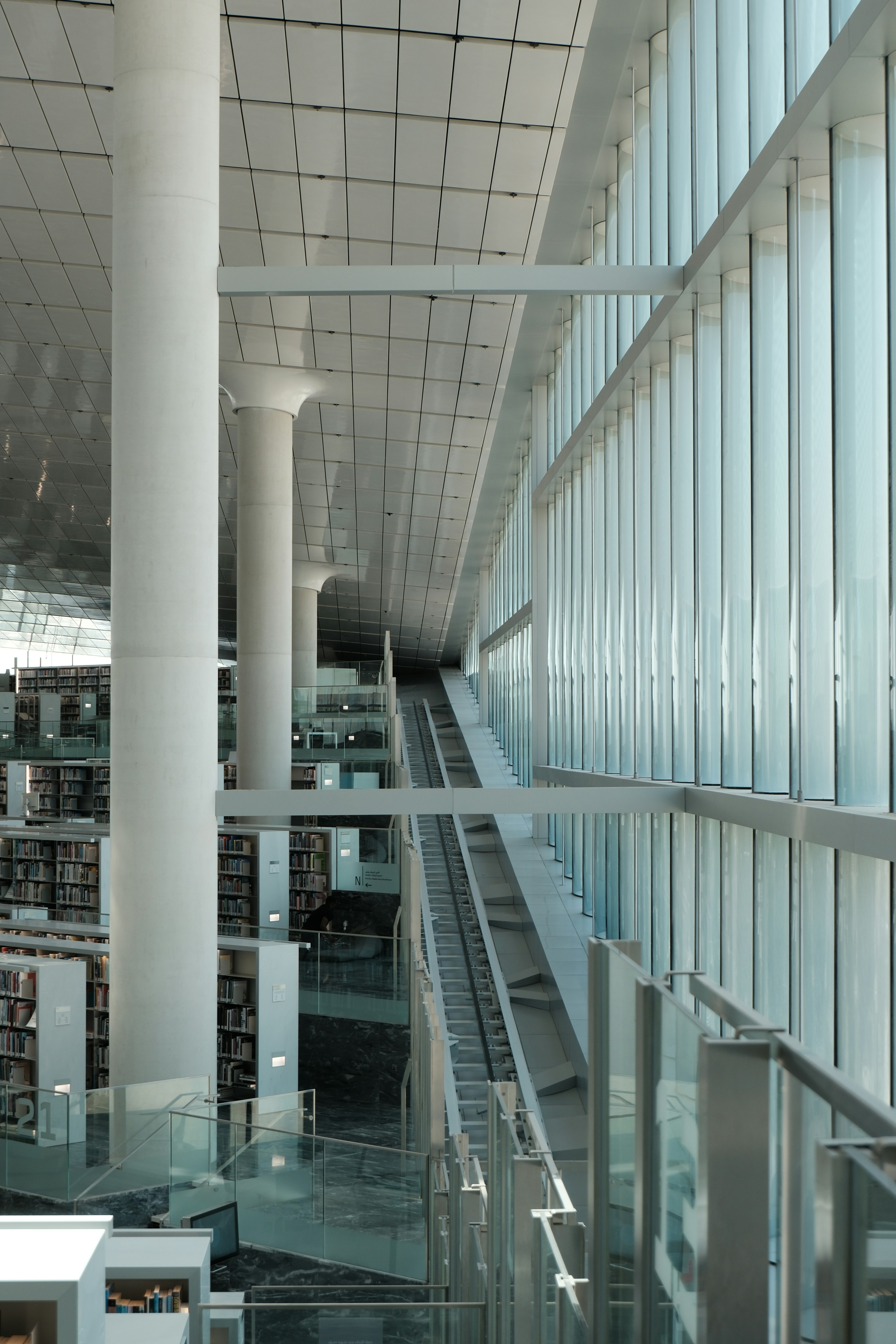 Photo by andrew_jonel