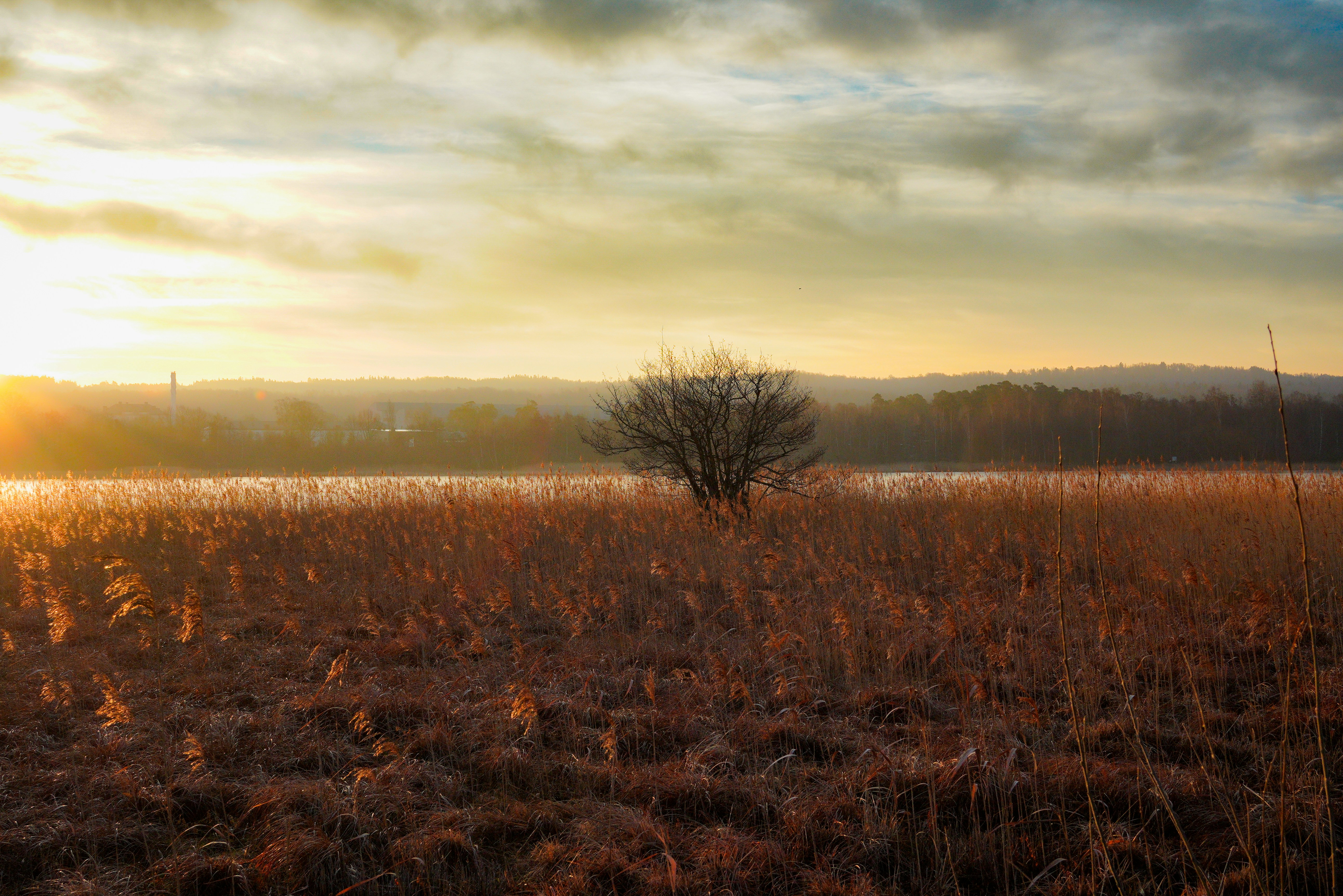Fallow Ground: What Farmers Know About Creativity That Most Artists Refuse to Accept