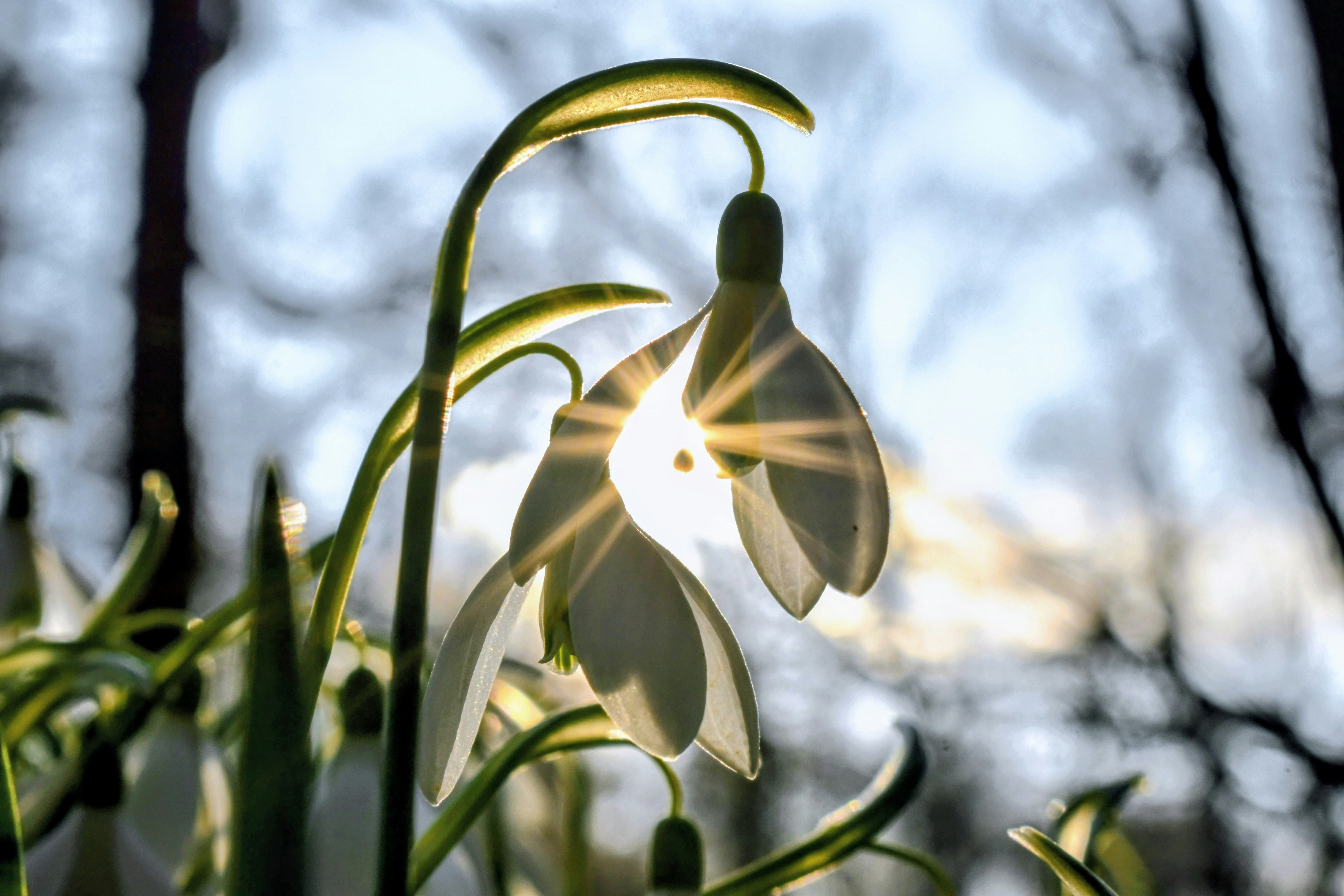 Photo by hejpetrpepa