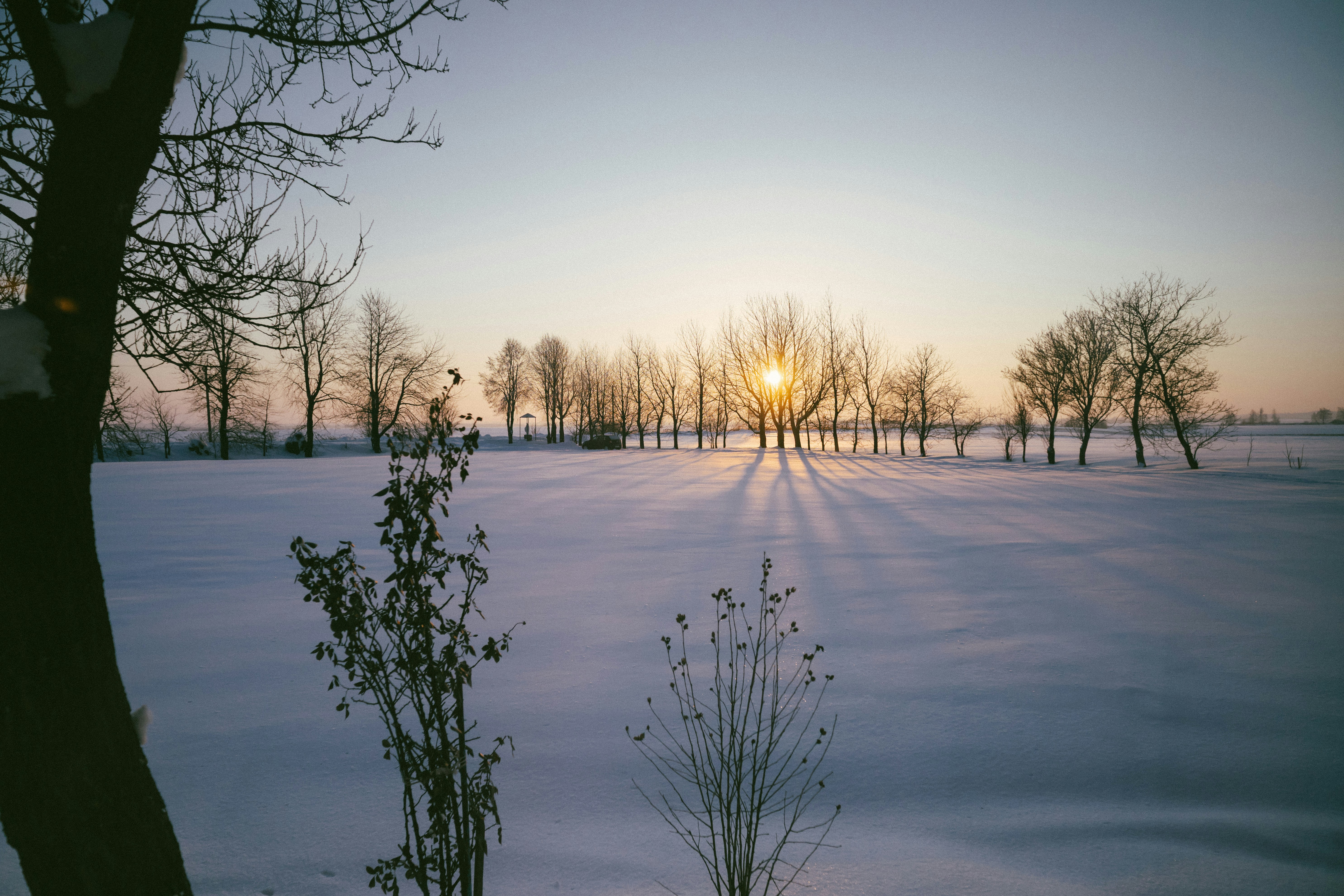 Photo by viktorsmoliak