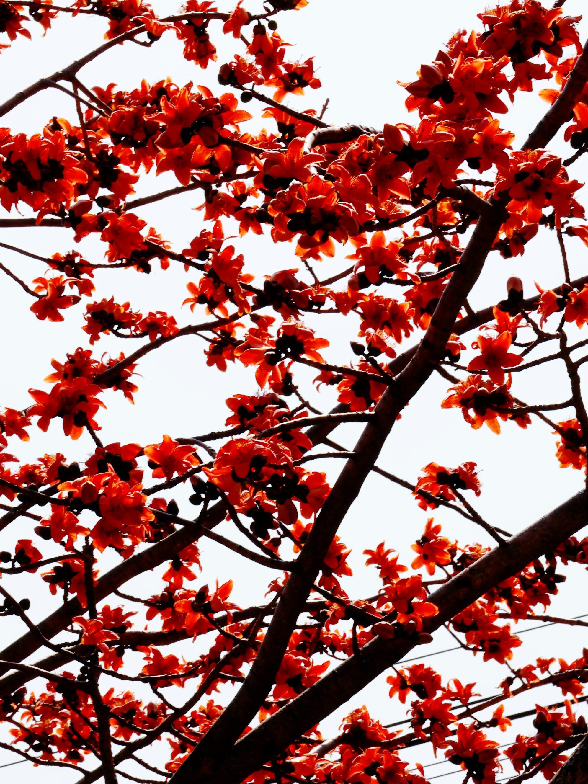 Photo by clr923_s