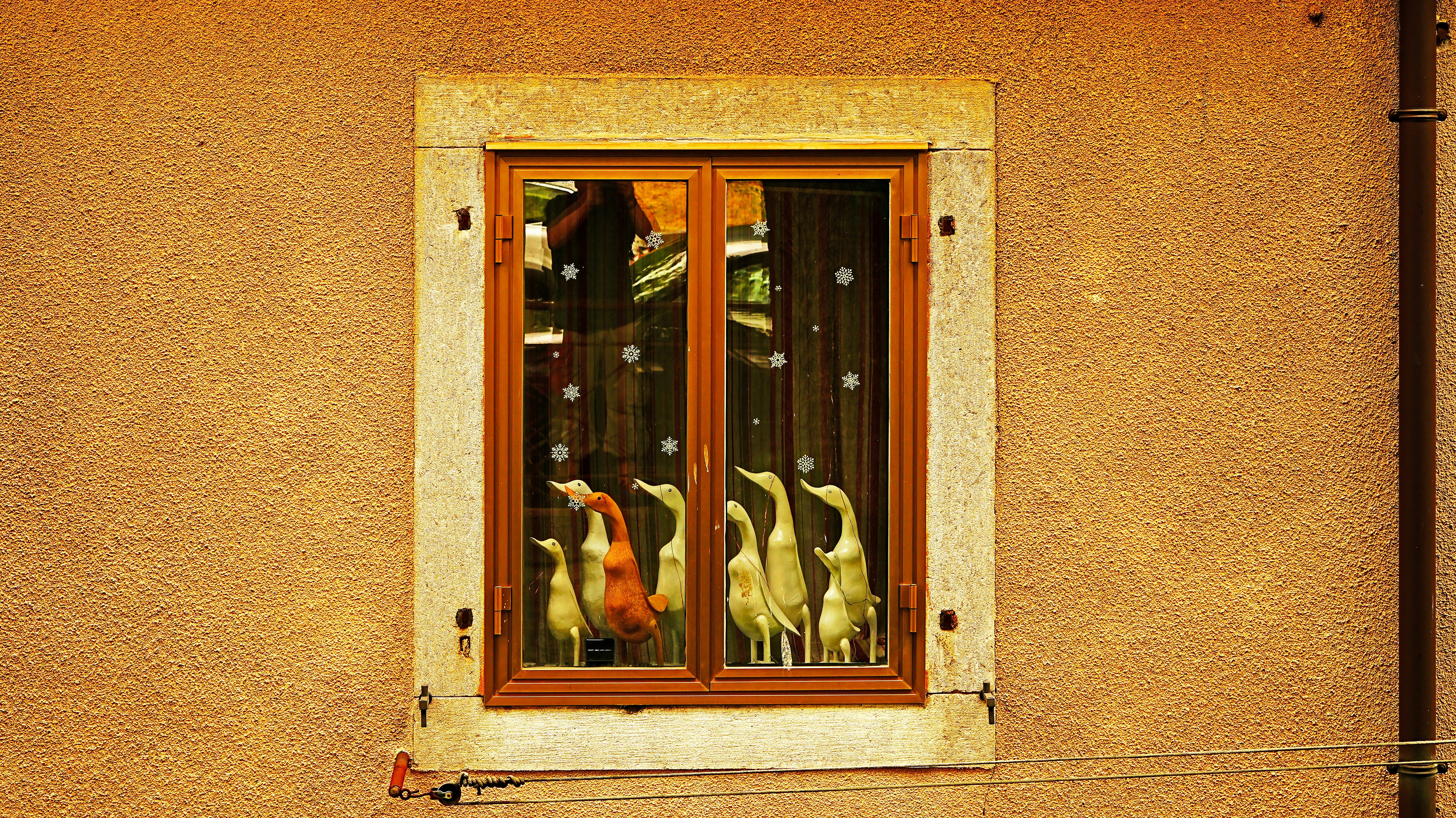 Ein Fenster mit einer Spiegelung gelber Enten
