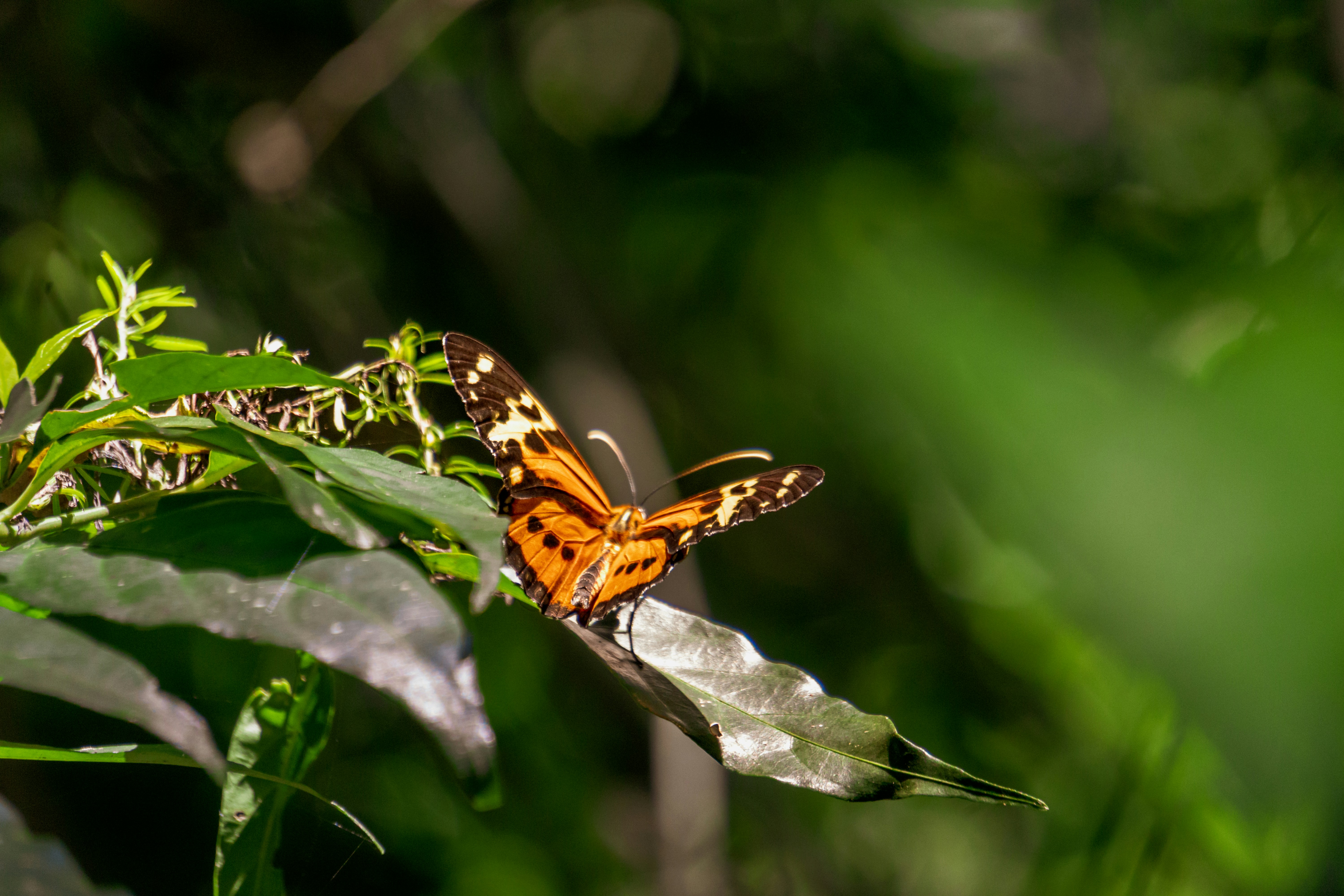 Photo by whereiskylenow