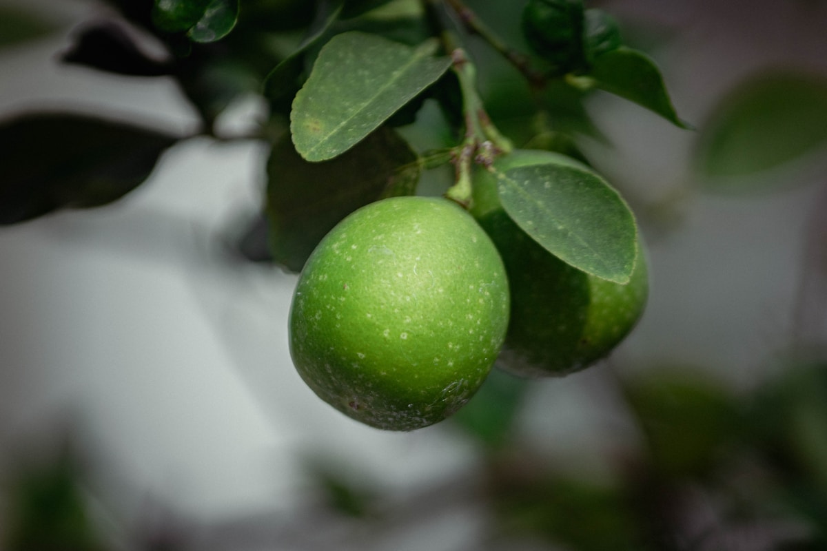 Retinal vs Retinol in Korean Skincare: Key Differences