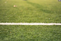 A white line on a green grassy field