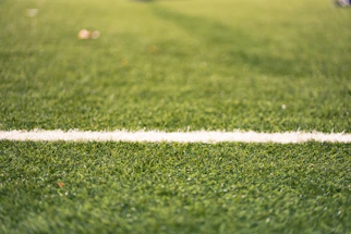 A white line on a green grassy field