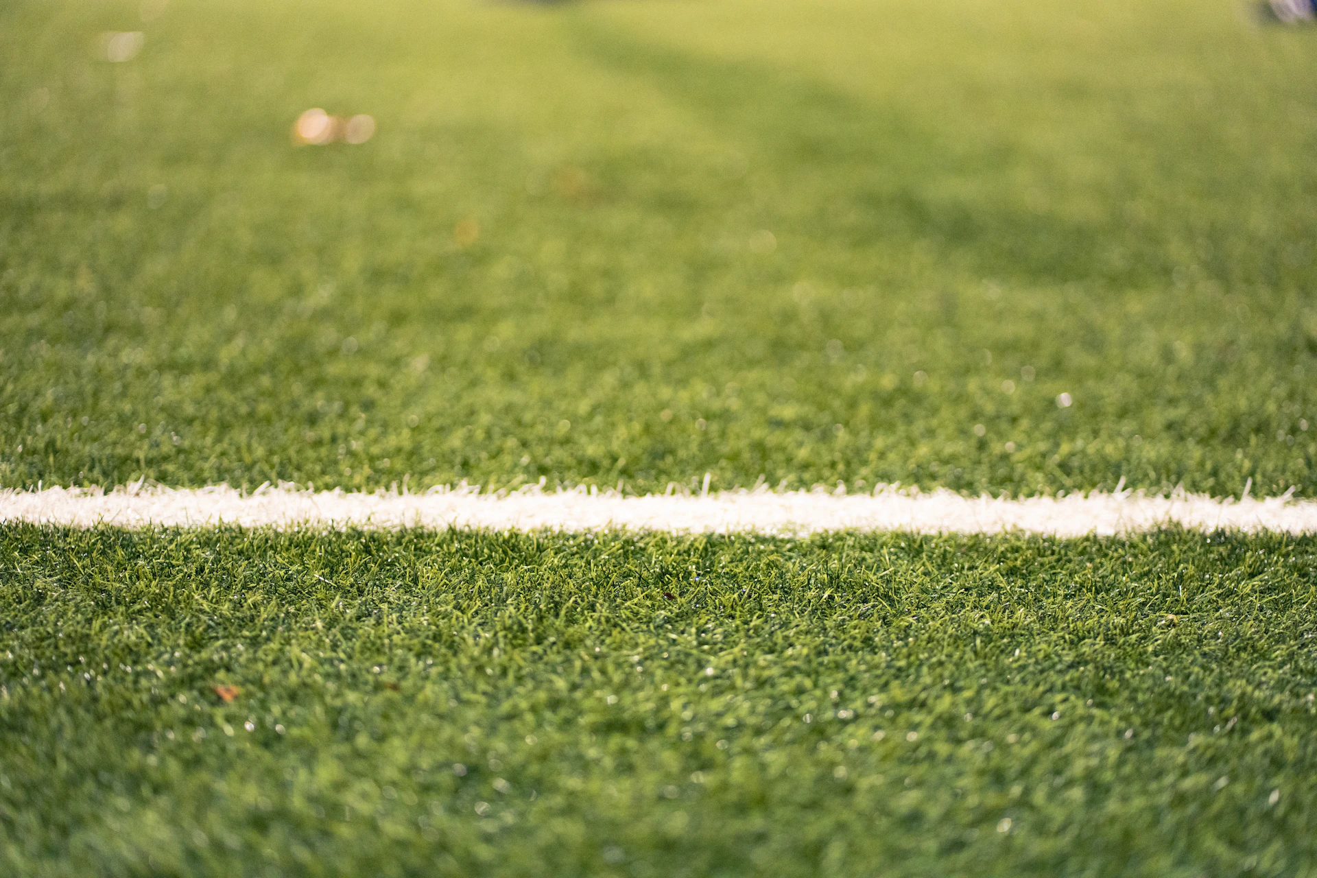 A white line on a green grassy field