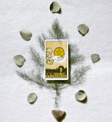 Tarot card ace of pentacles with decorative elements
