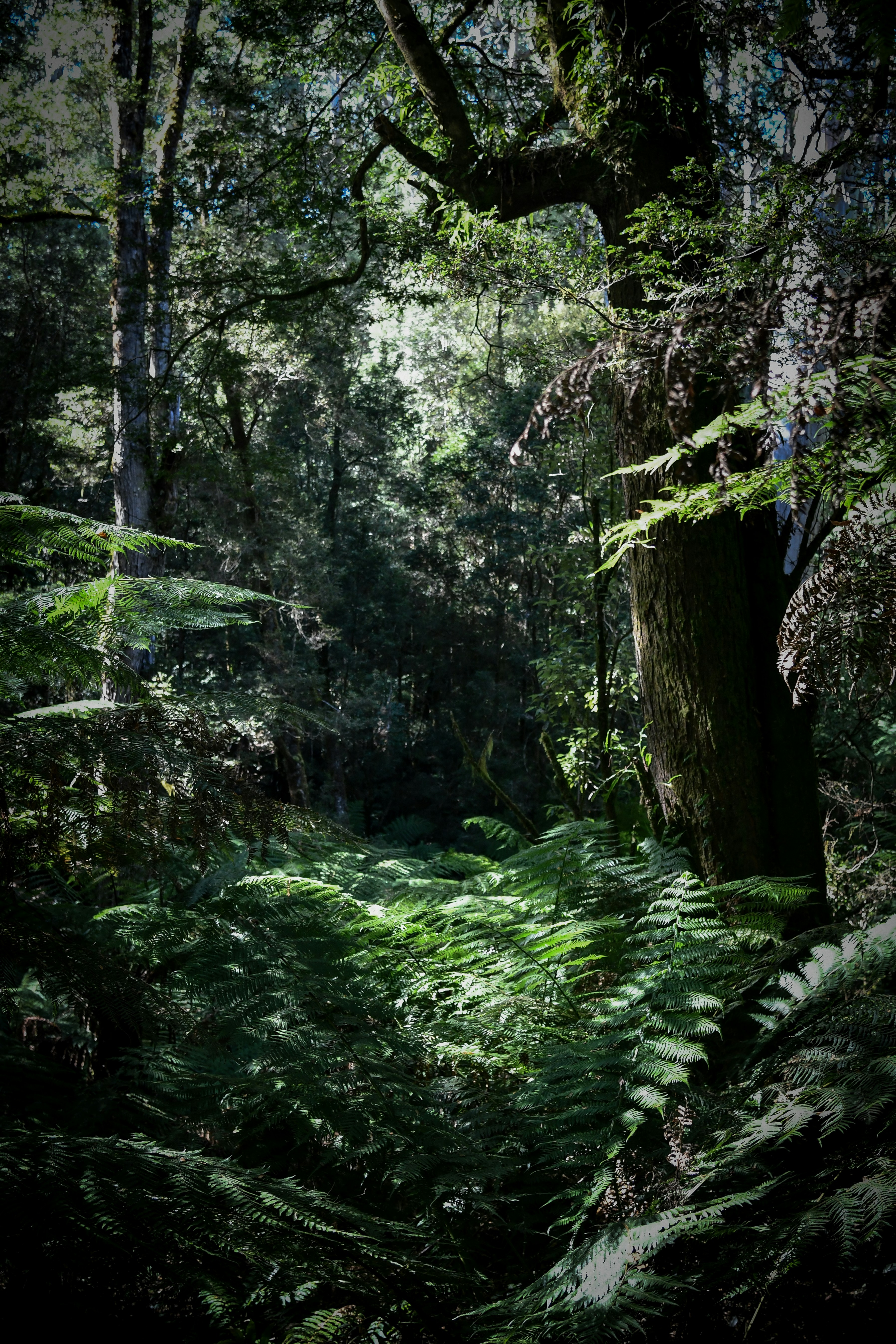 Photo by armandmckenzie