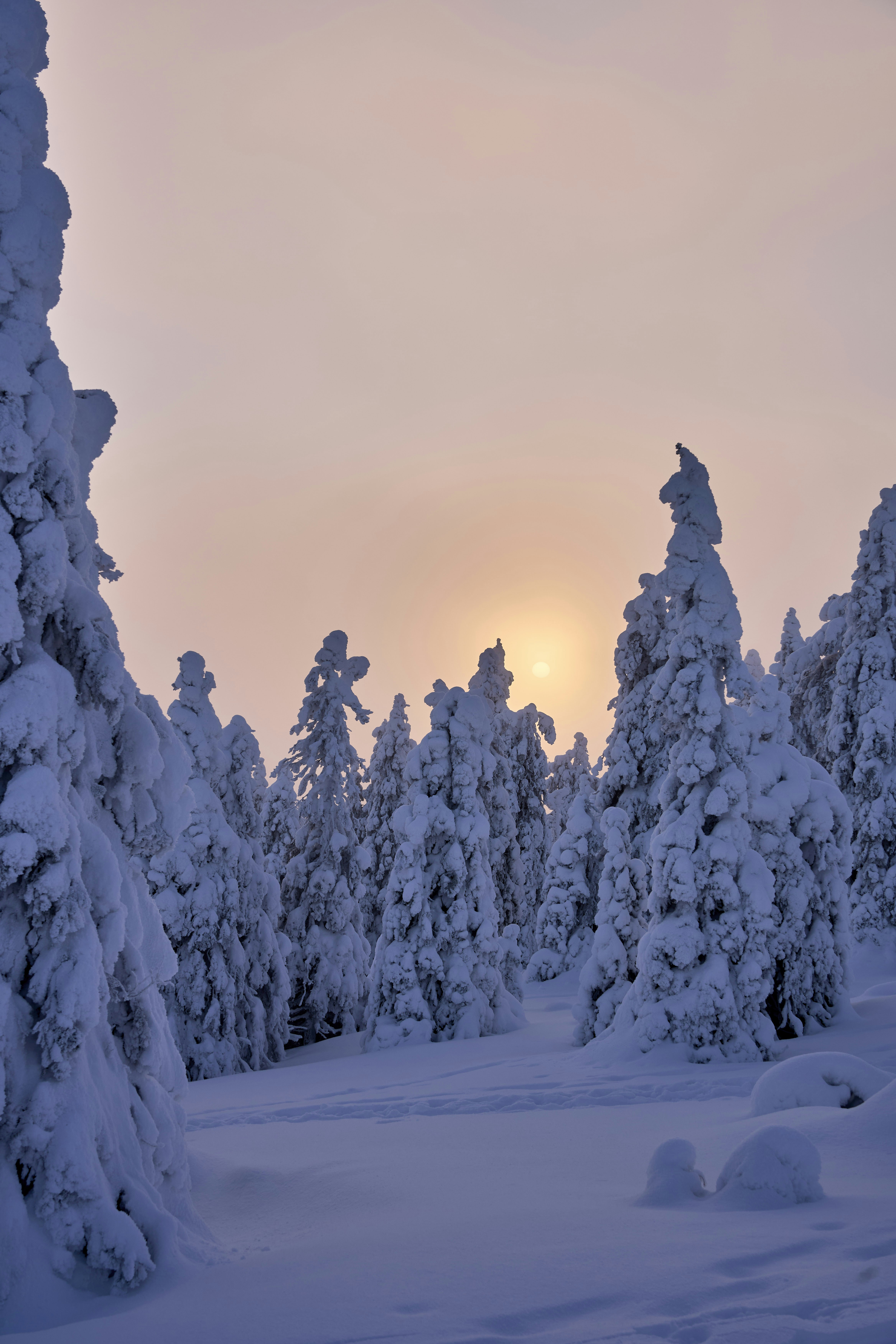 Photo by wolfgang_hasselmann