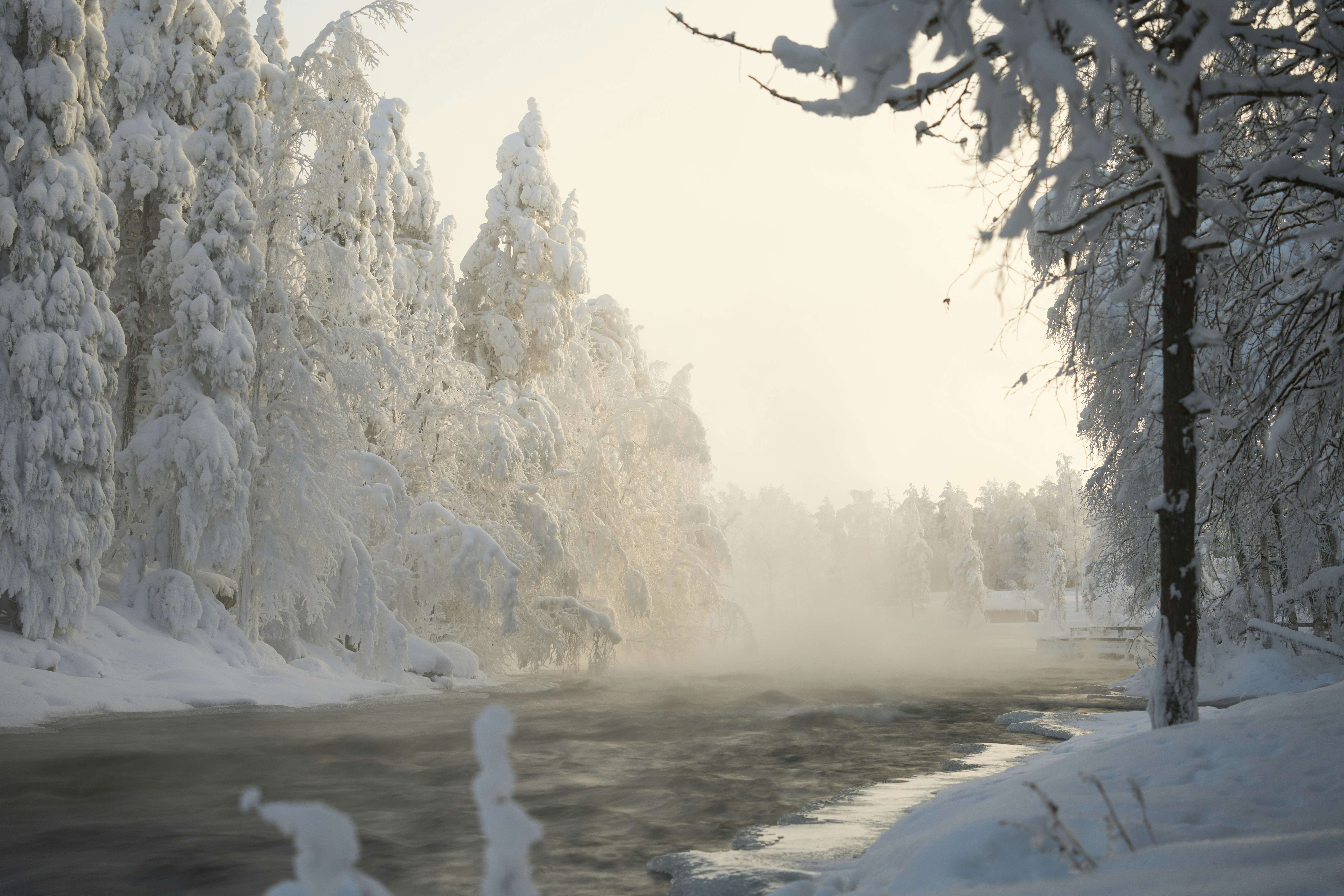 Photo by wolfgang_hasselmann