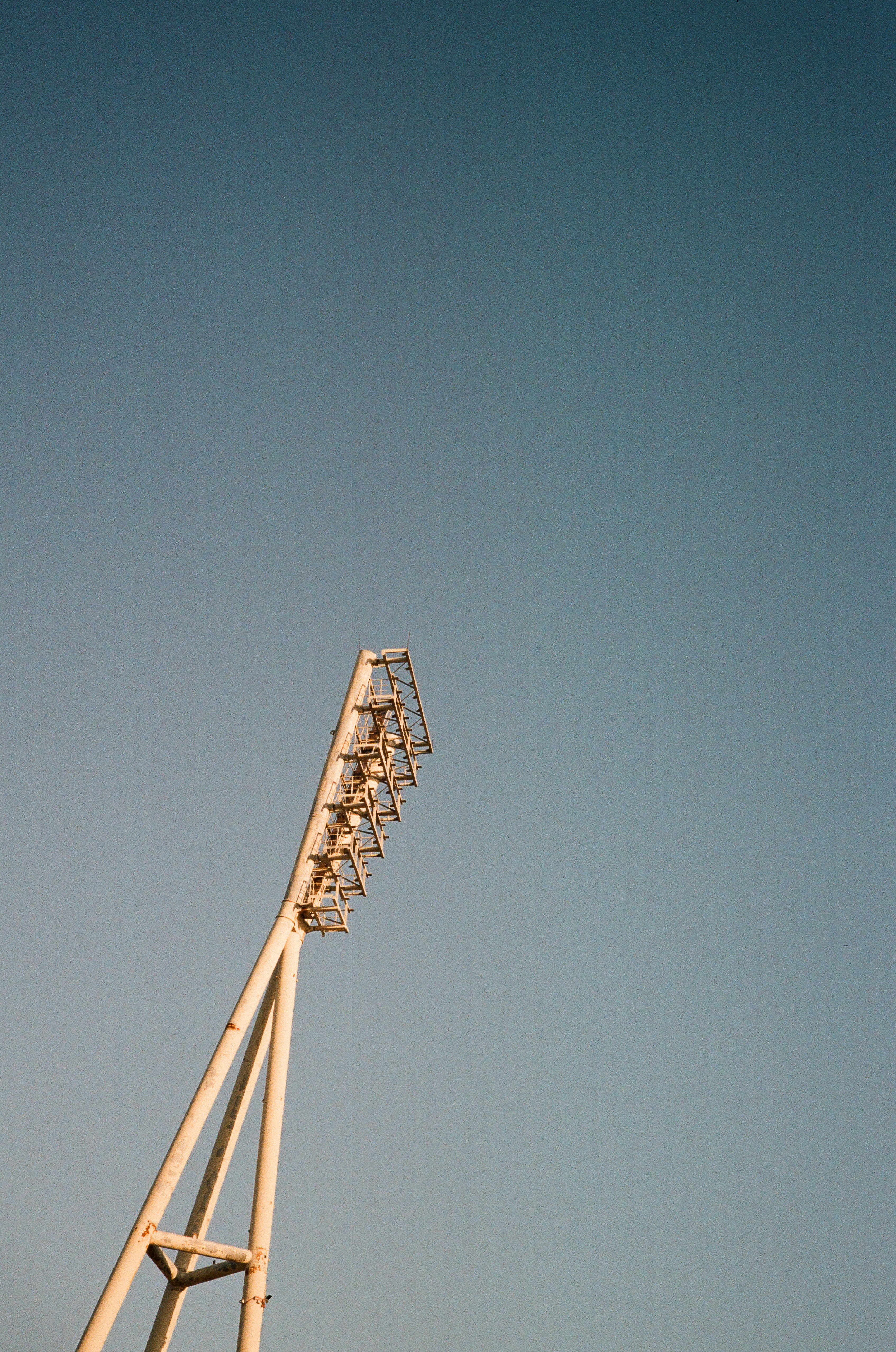 Photo by nikita_pishchugin