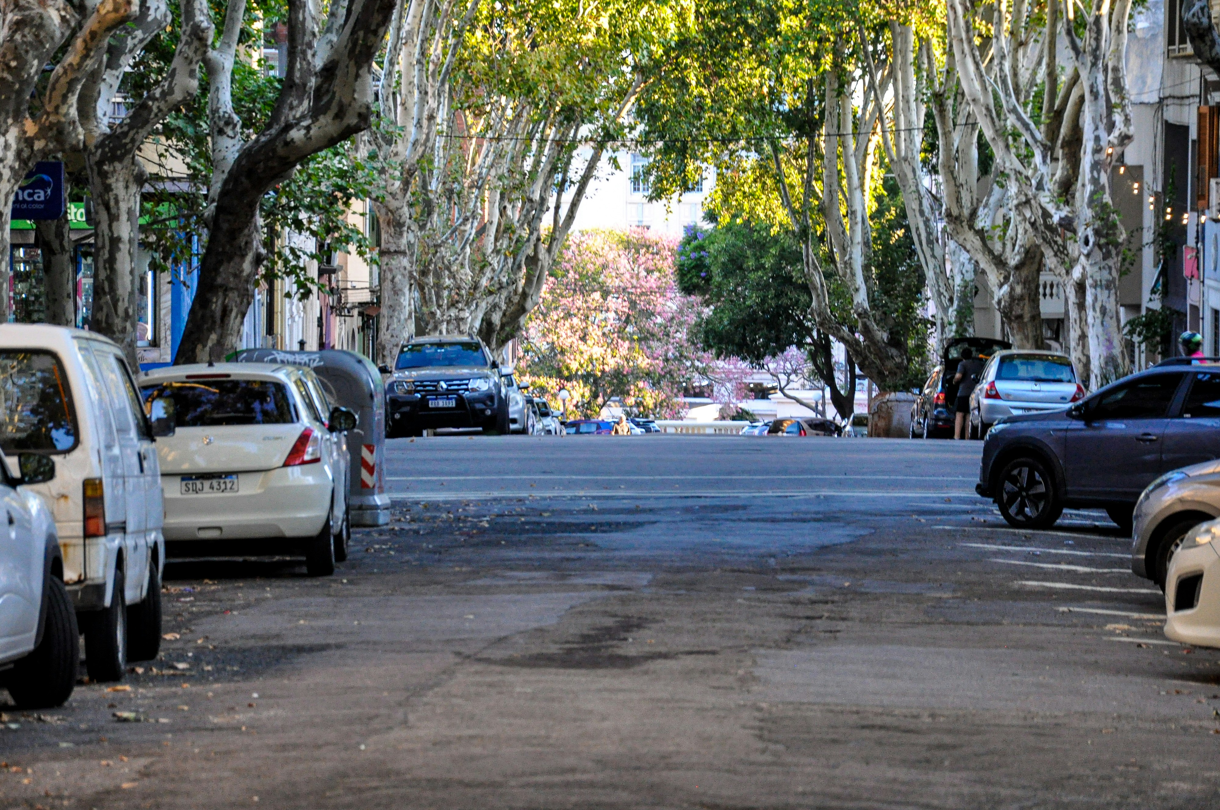 Photo by nikolaikolosov