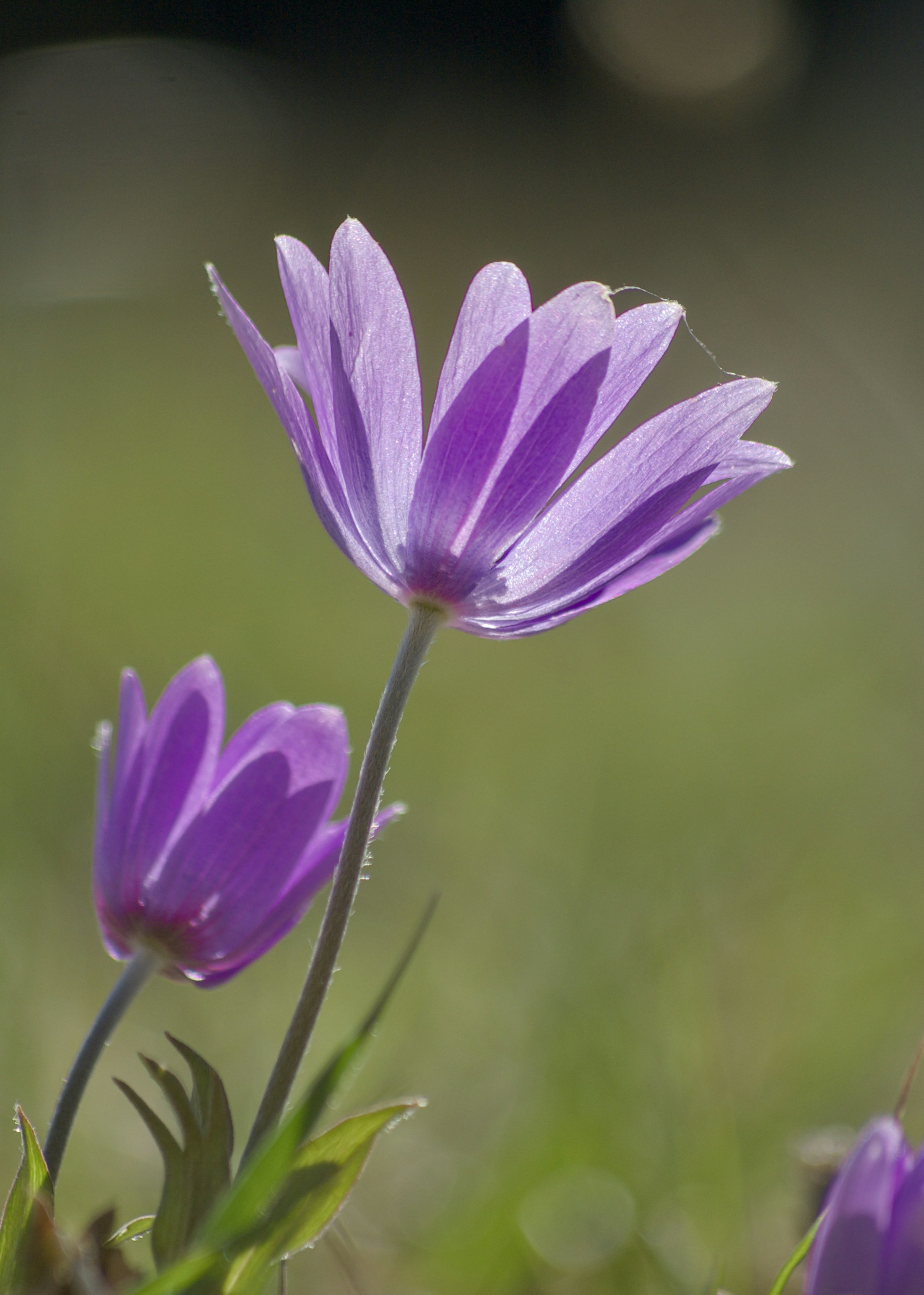 Photo by mariobeducci