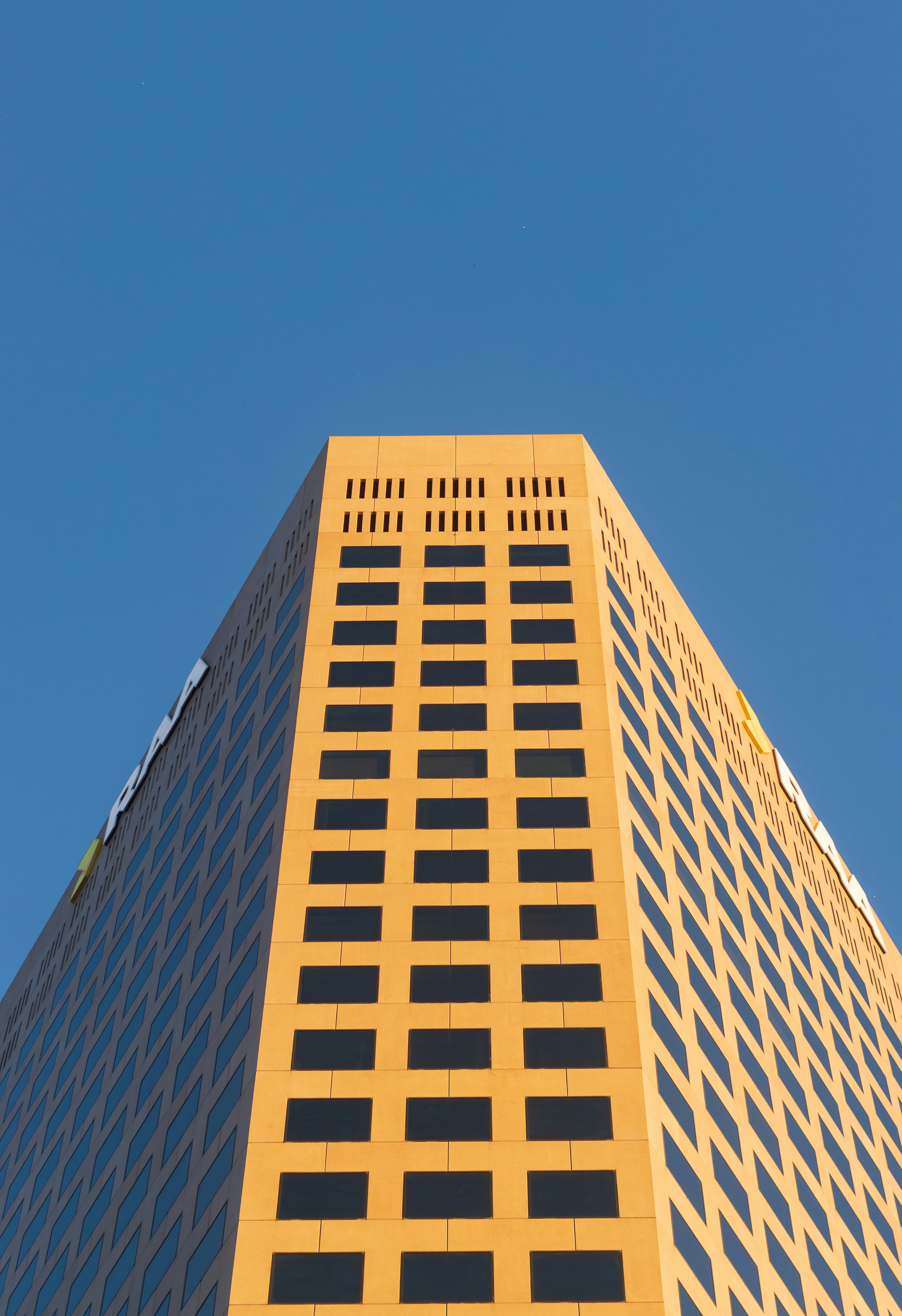 Photo by scientist505