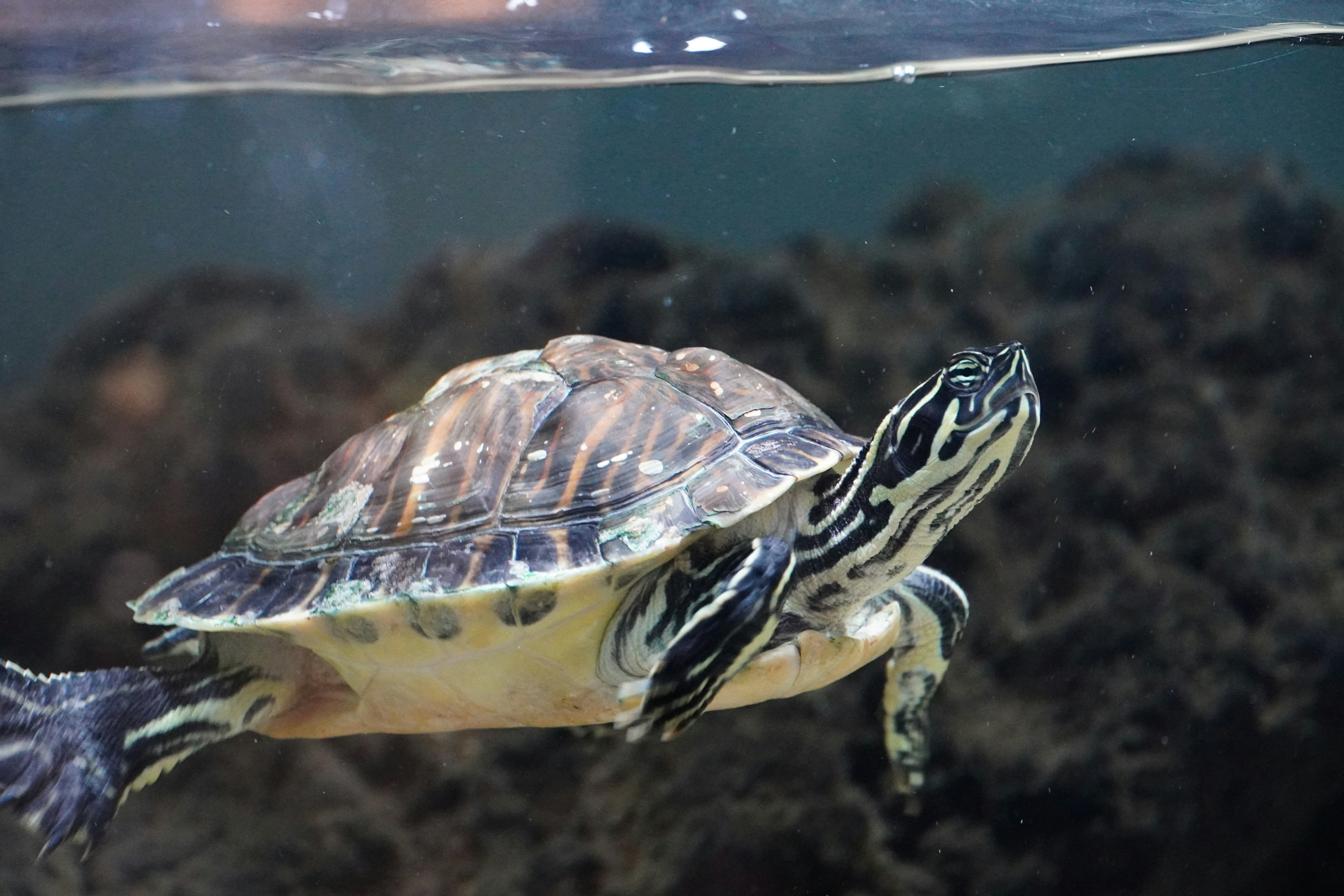 Photo by lifeinkorea