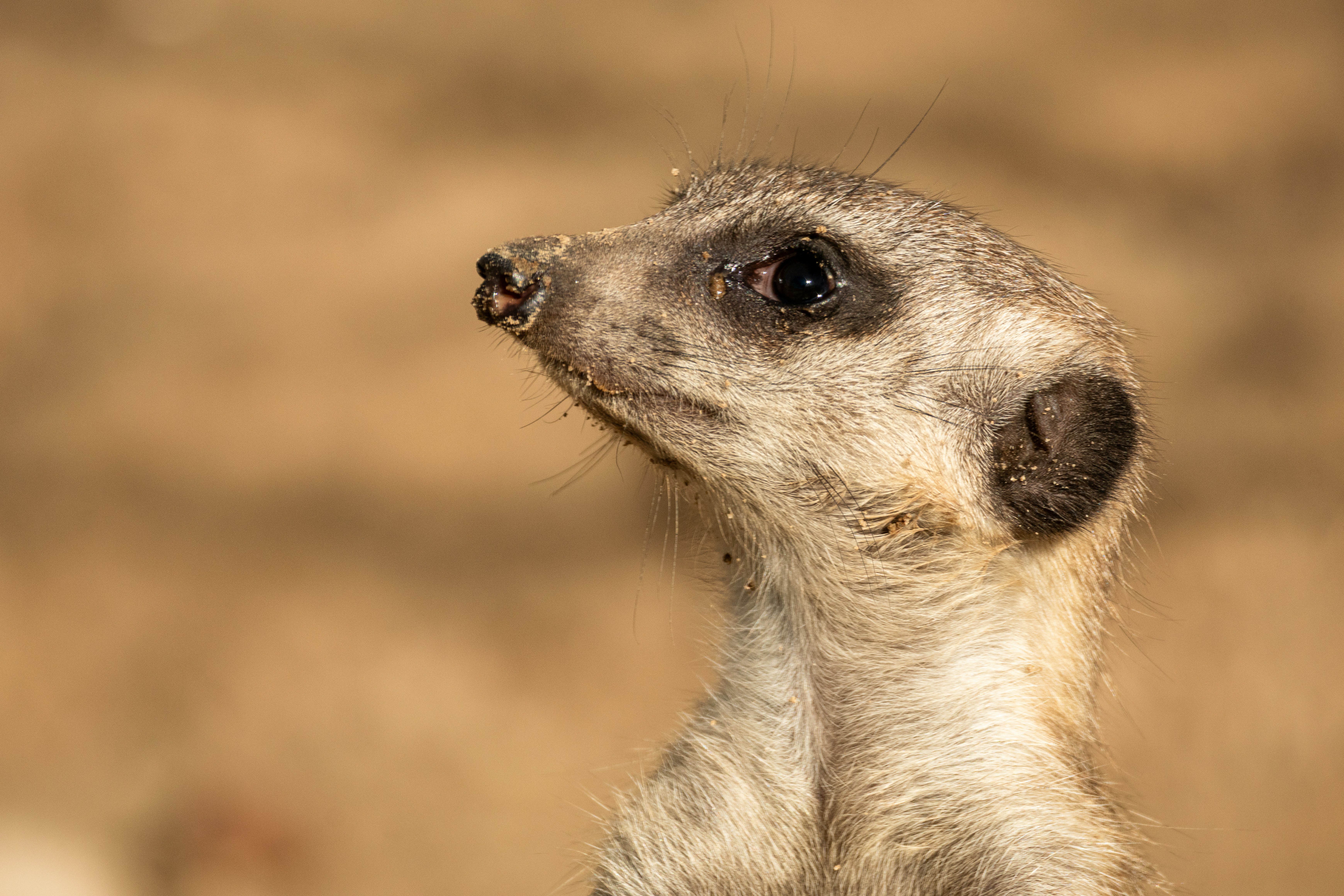 Photo by elkeburhenne