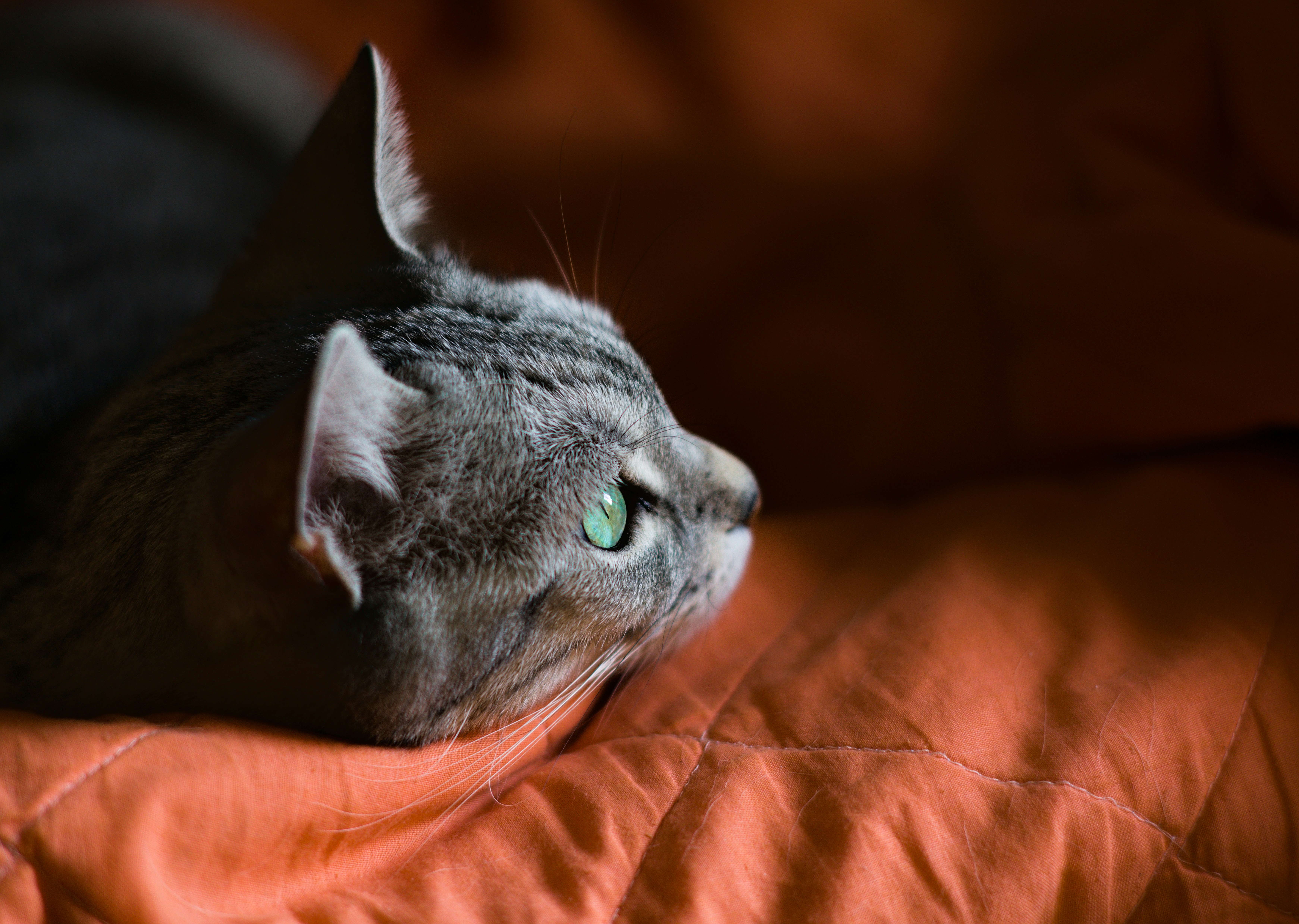 A calm moment
