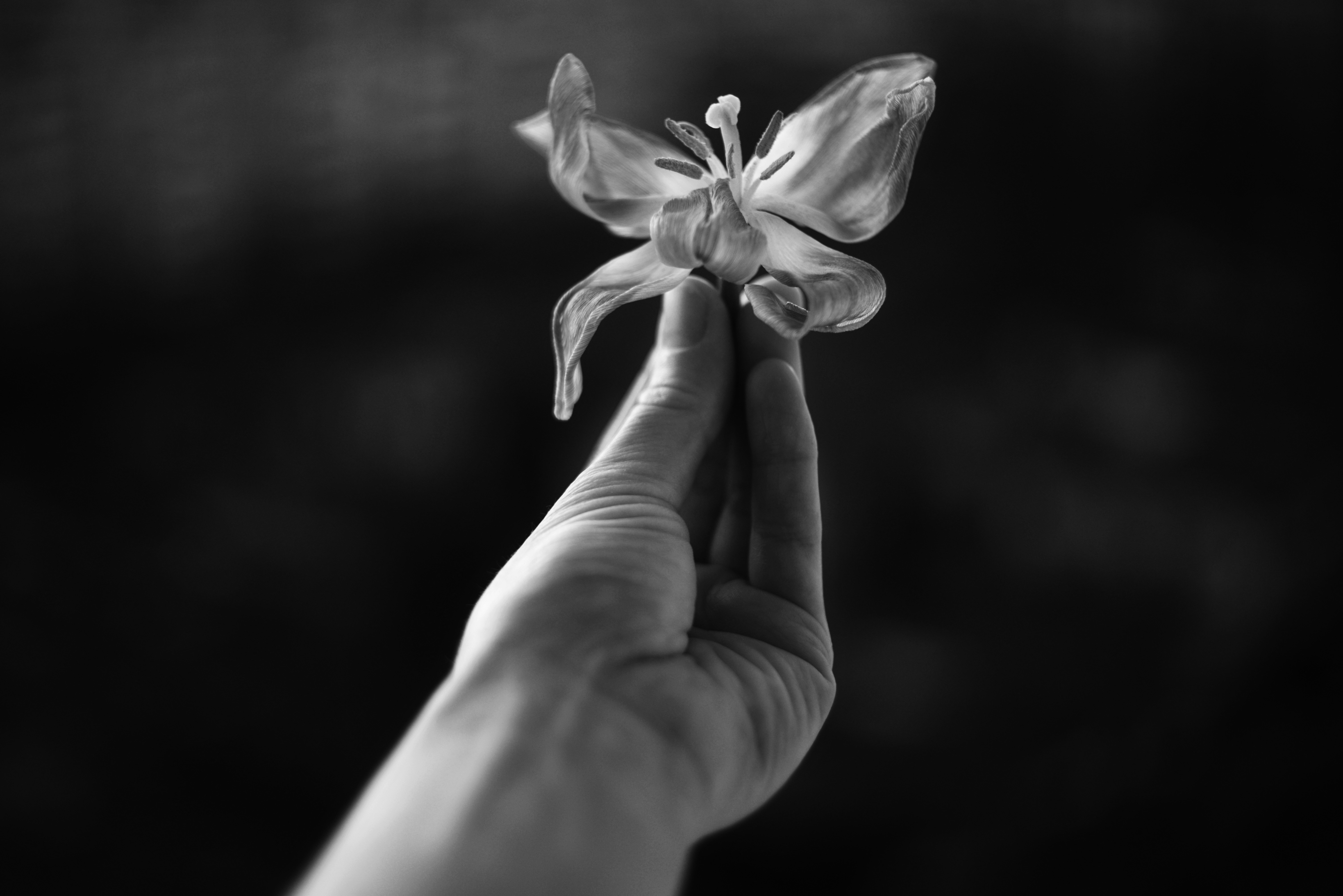 Photo by cherstve_pechivo