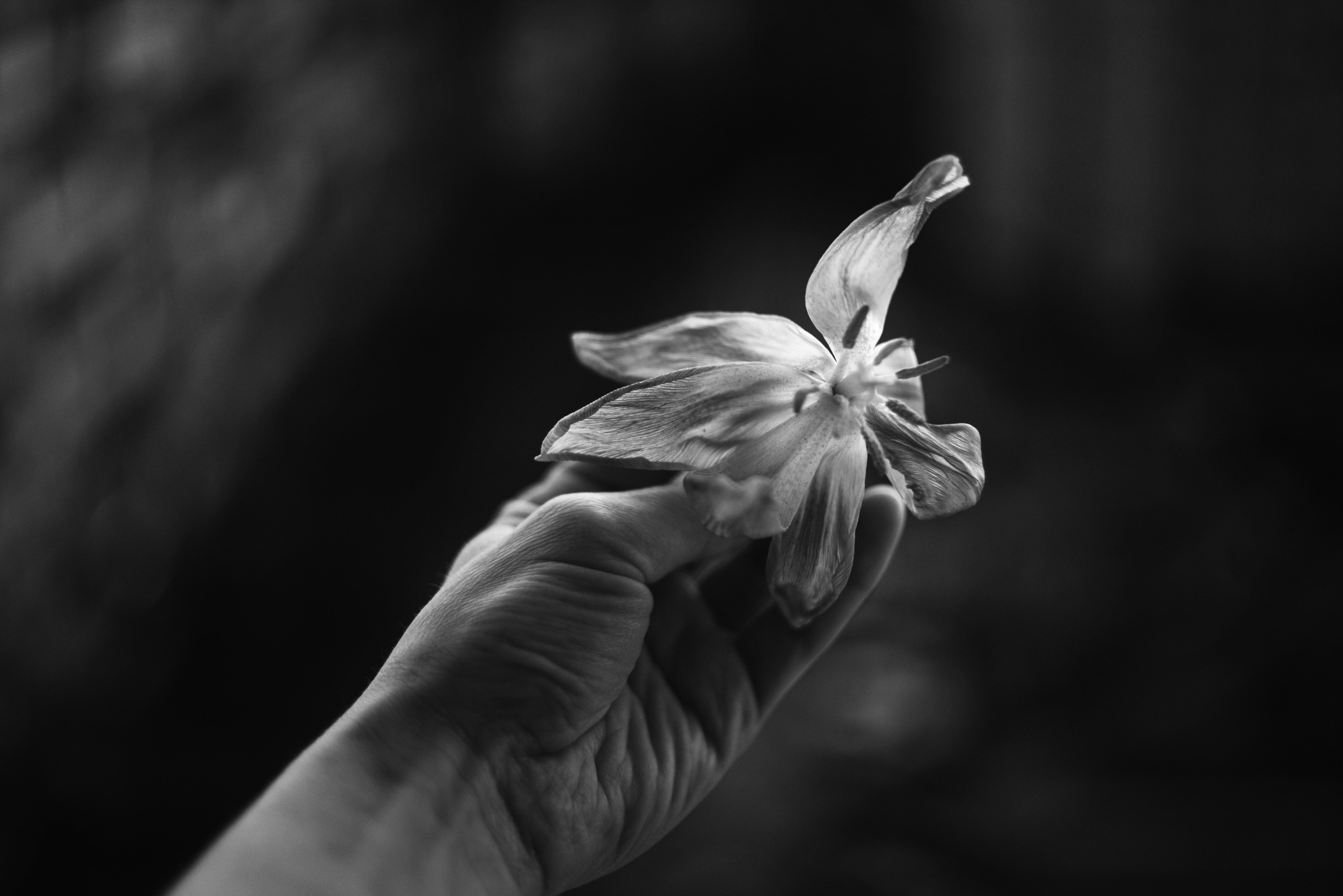 Photo by cherstve_pechivo