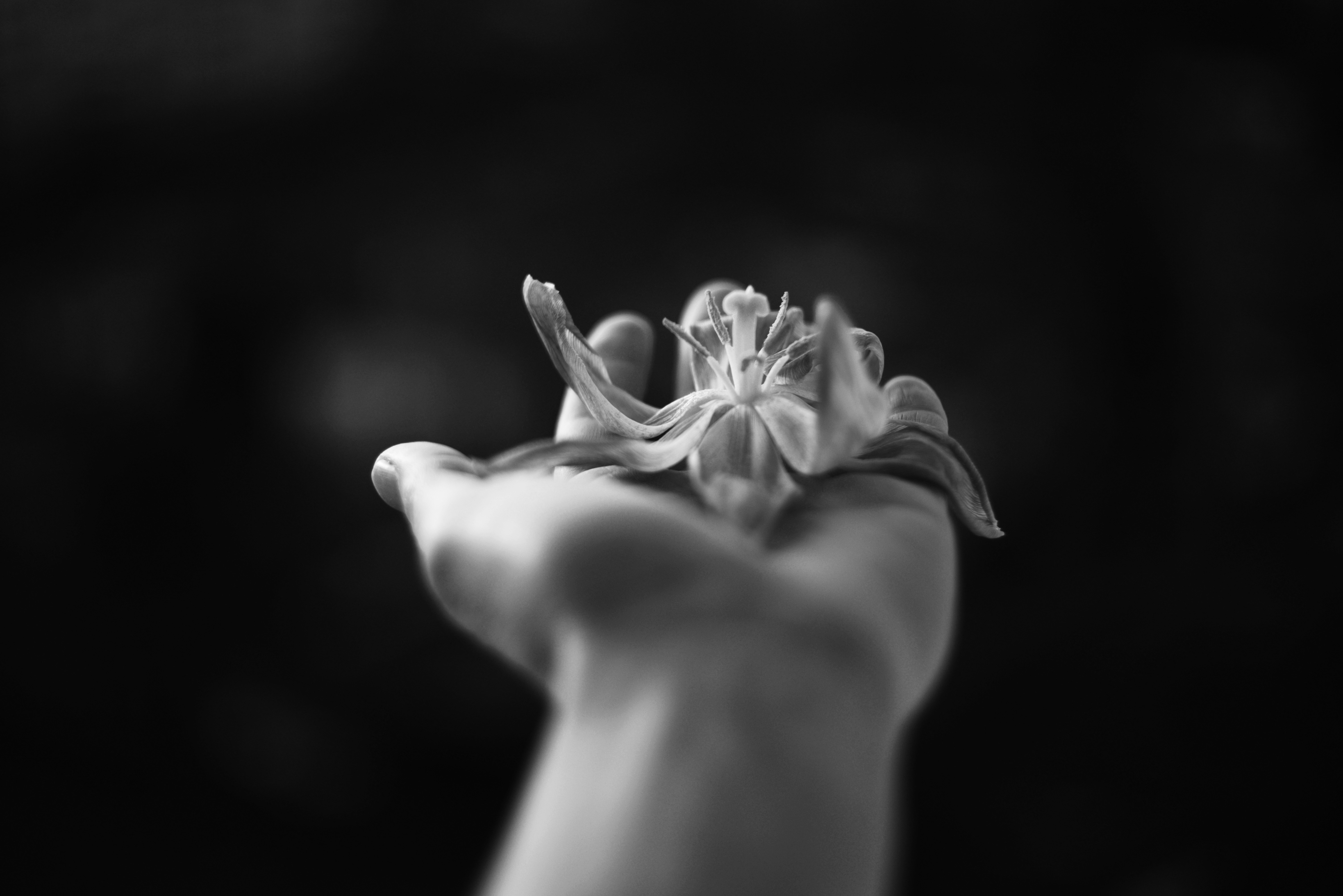 Photo by cherstve_pechivo