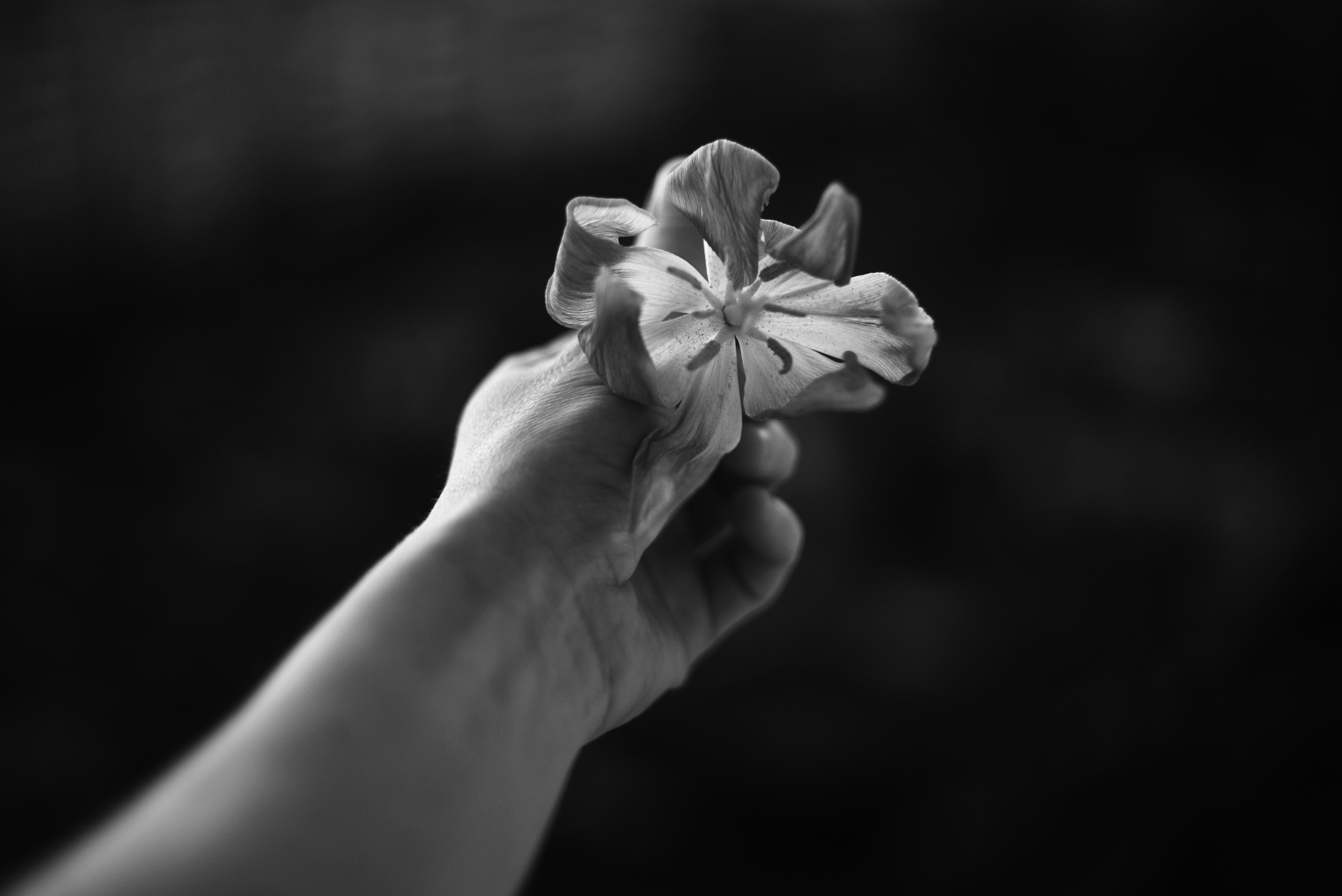 Photo by cherstve_pechivo