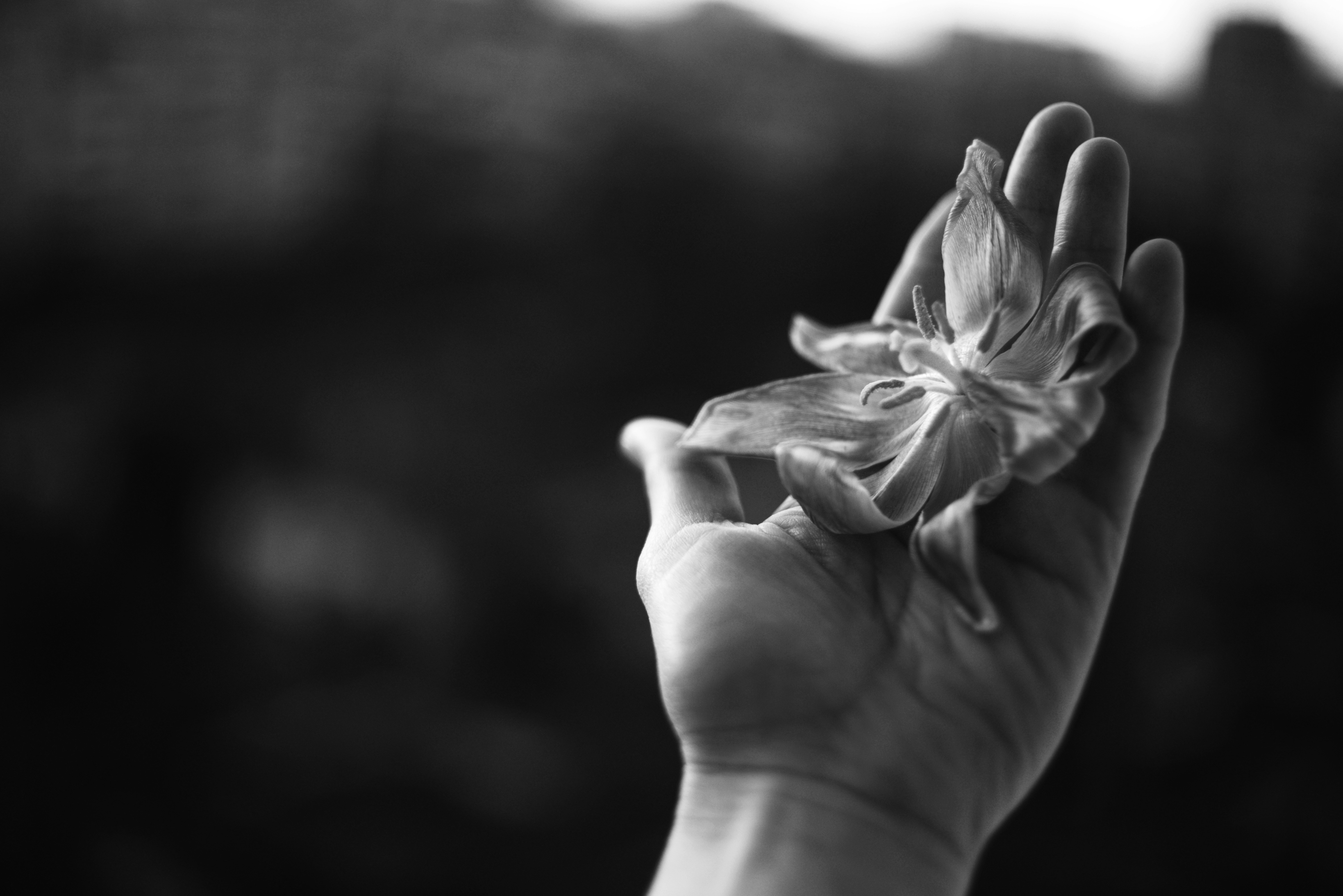 Photo by cherstve_pechivo