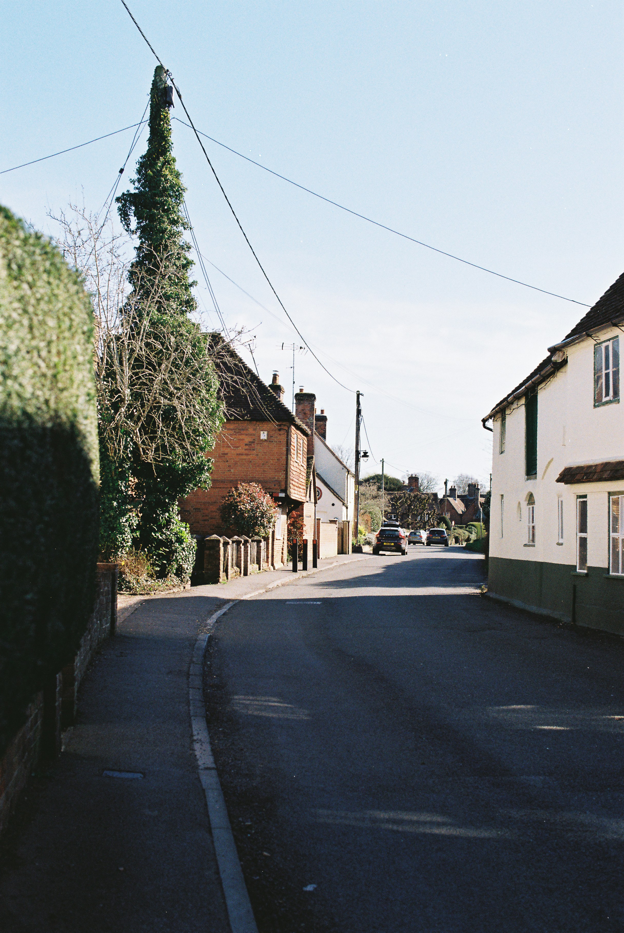 Photo by tanyabarrow