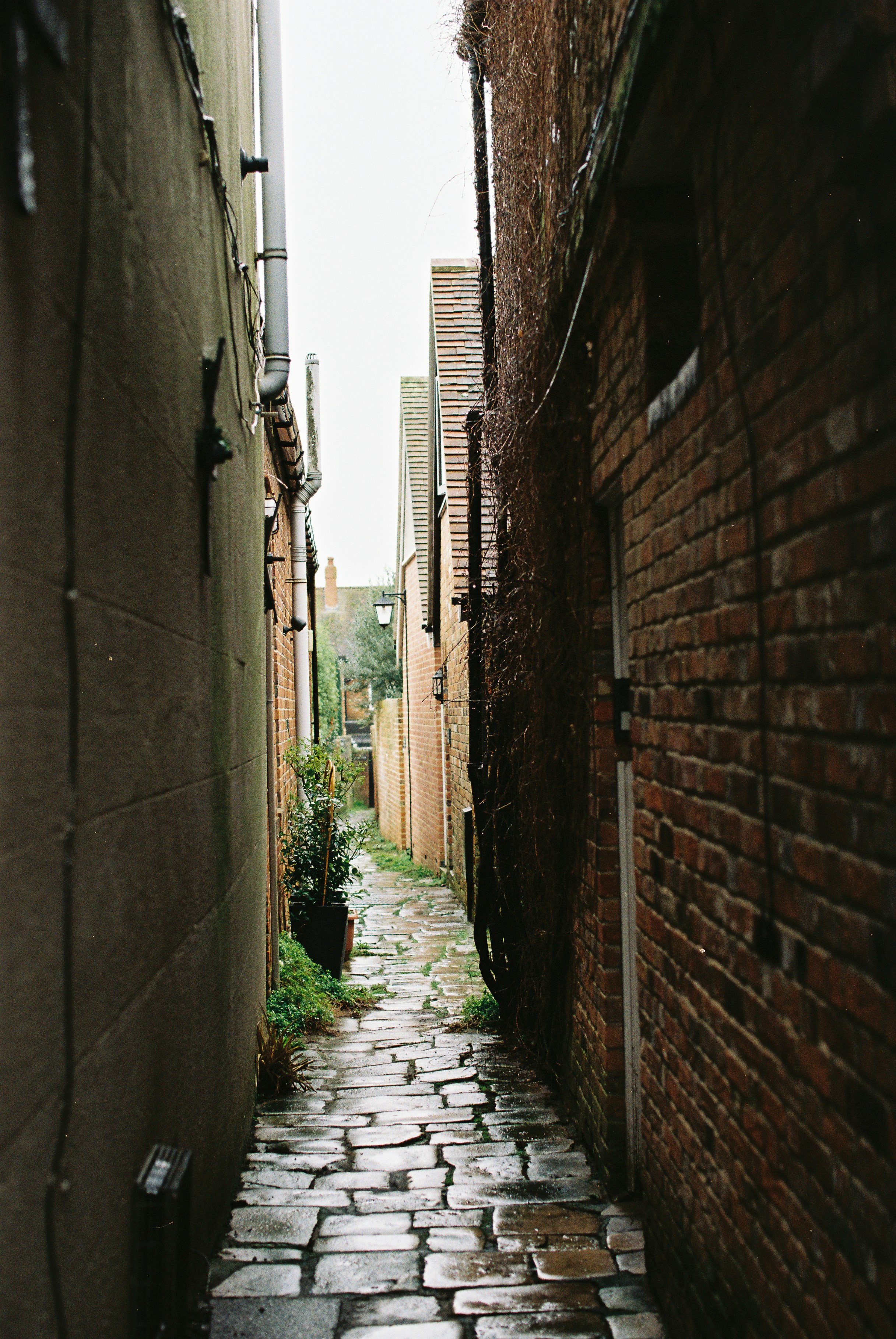 Photo by tanyabarrow