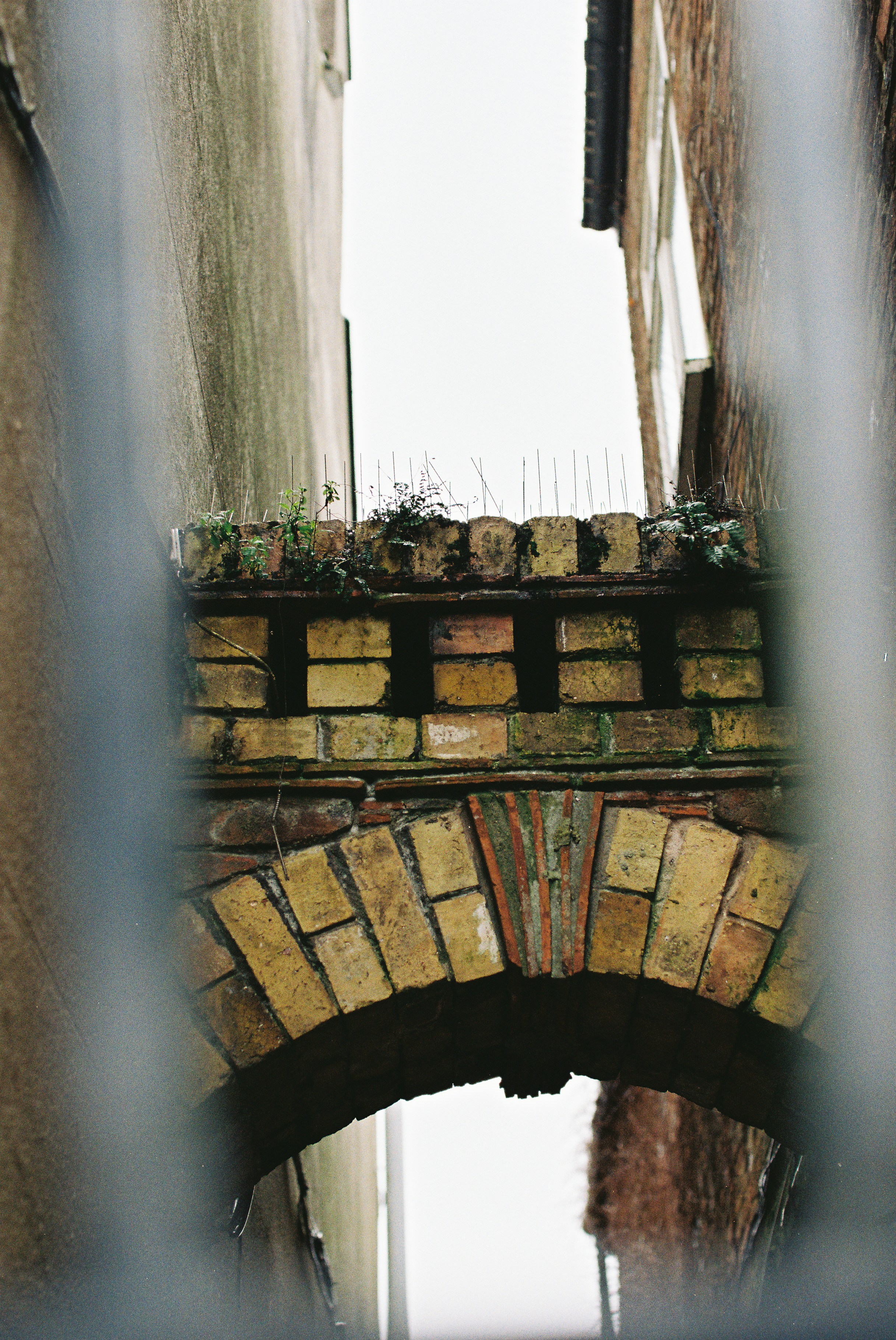 Photo by tanyabarrow