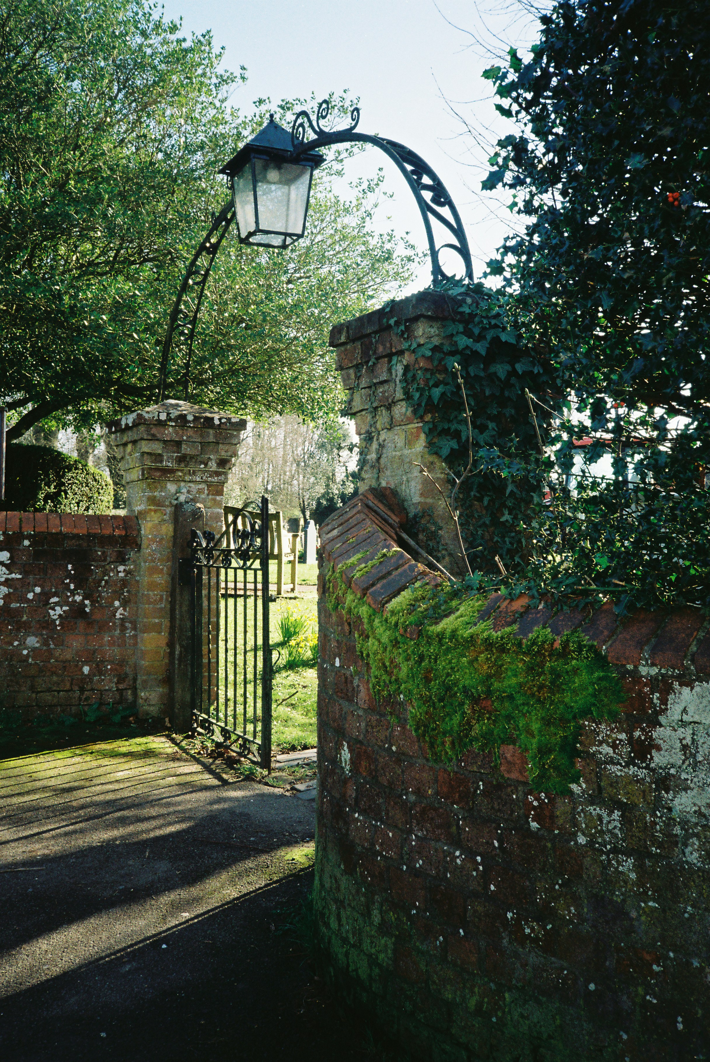 Photo by tanyabarrow