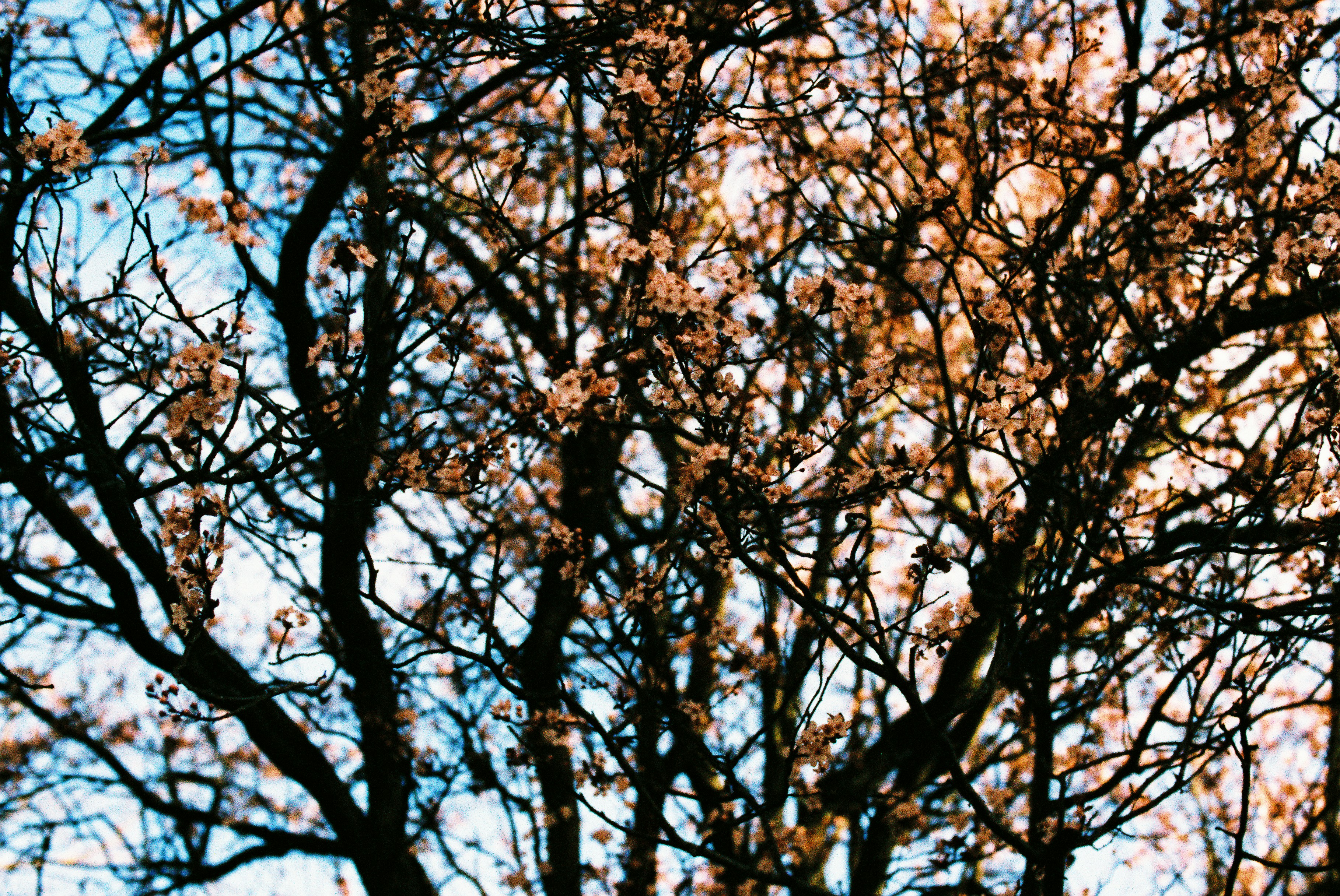 Photo by tanyabarrow