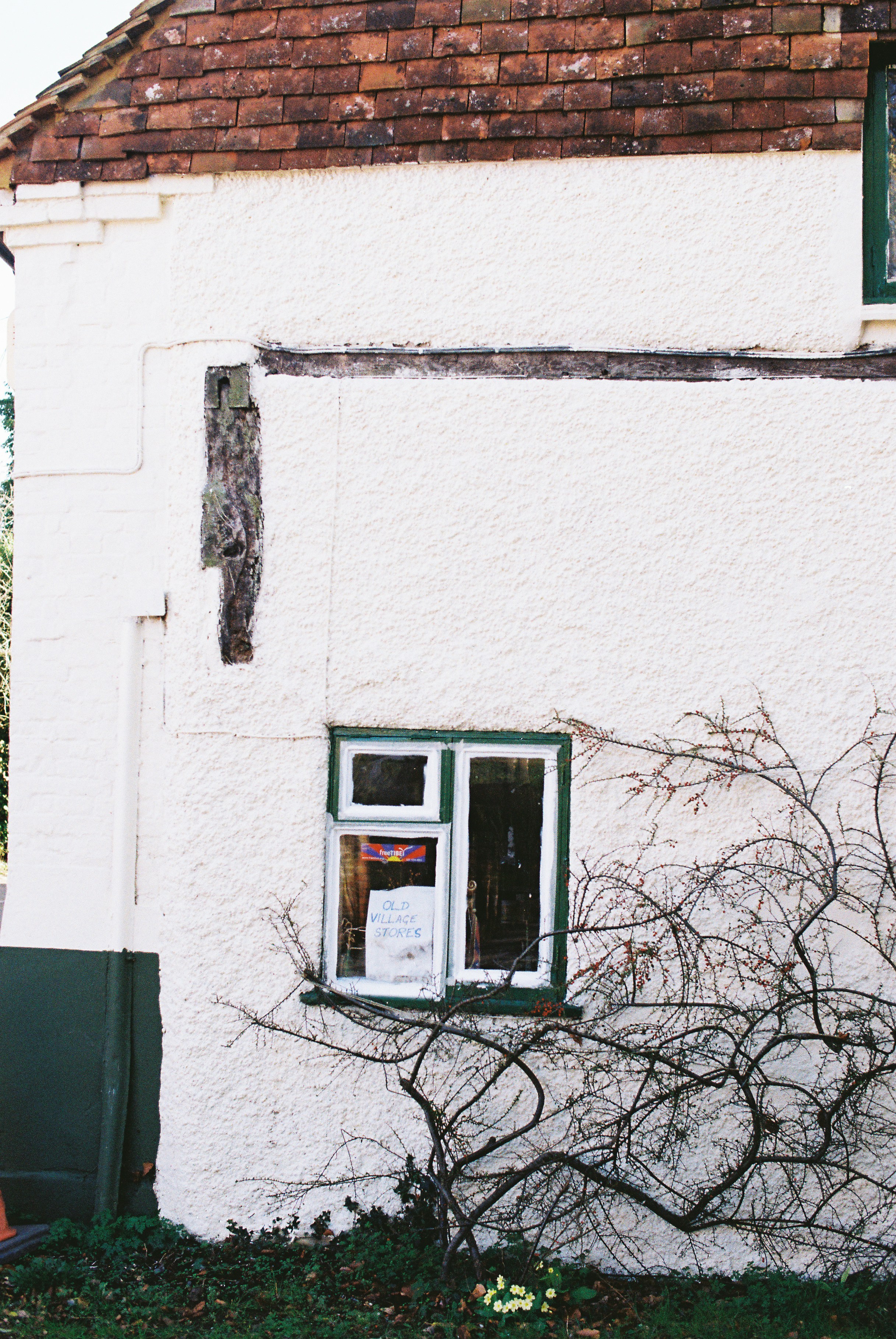 Photo by tanyabarrow