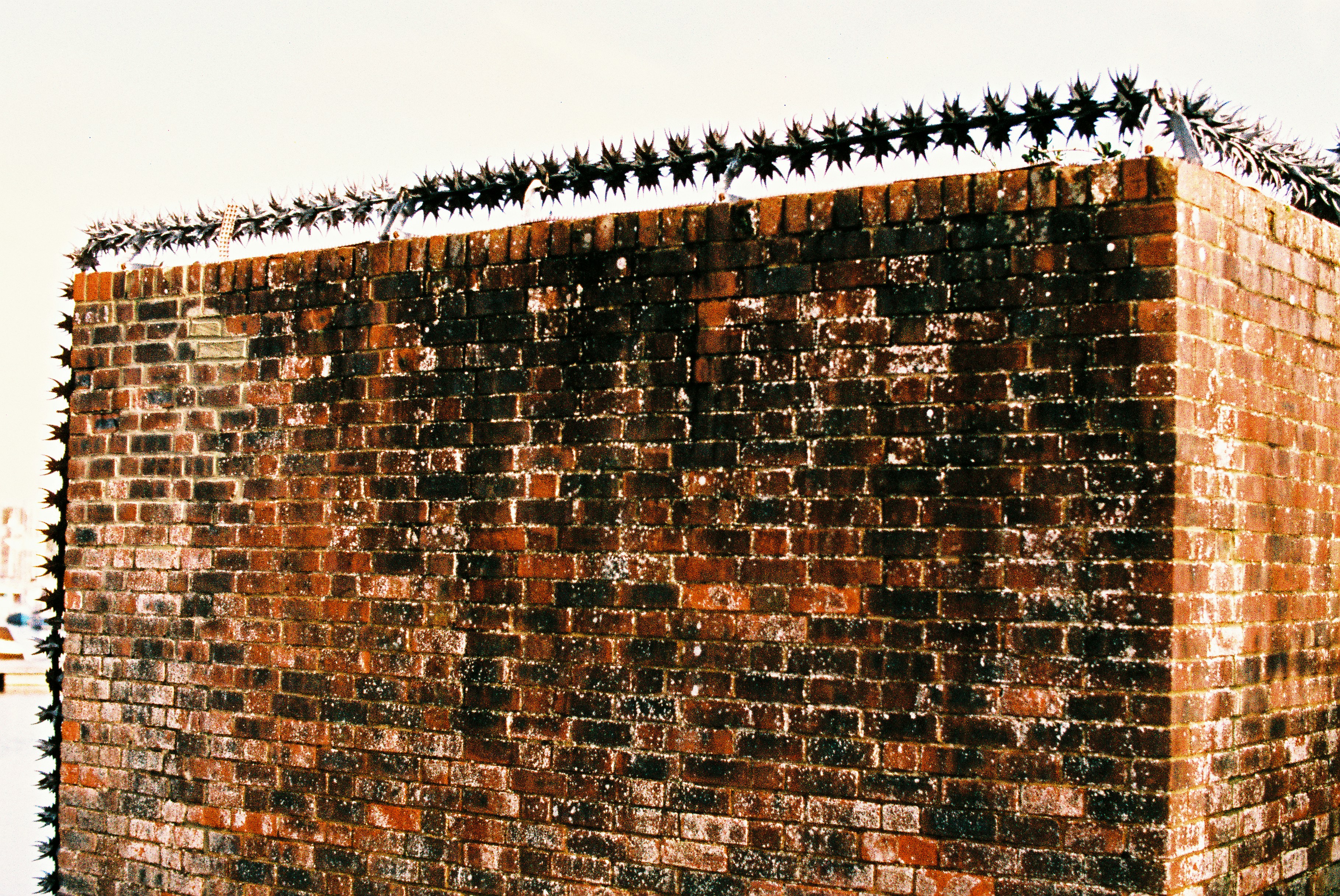 A weathered brick wall with barbed wire on top