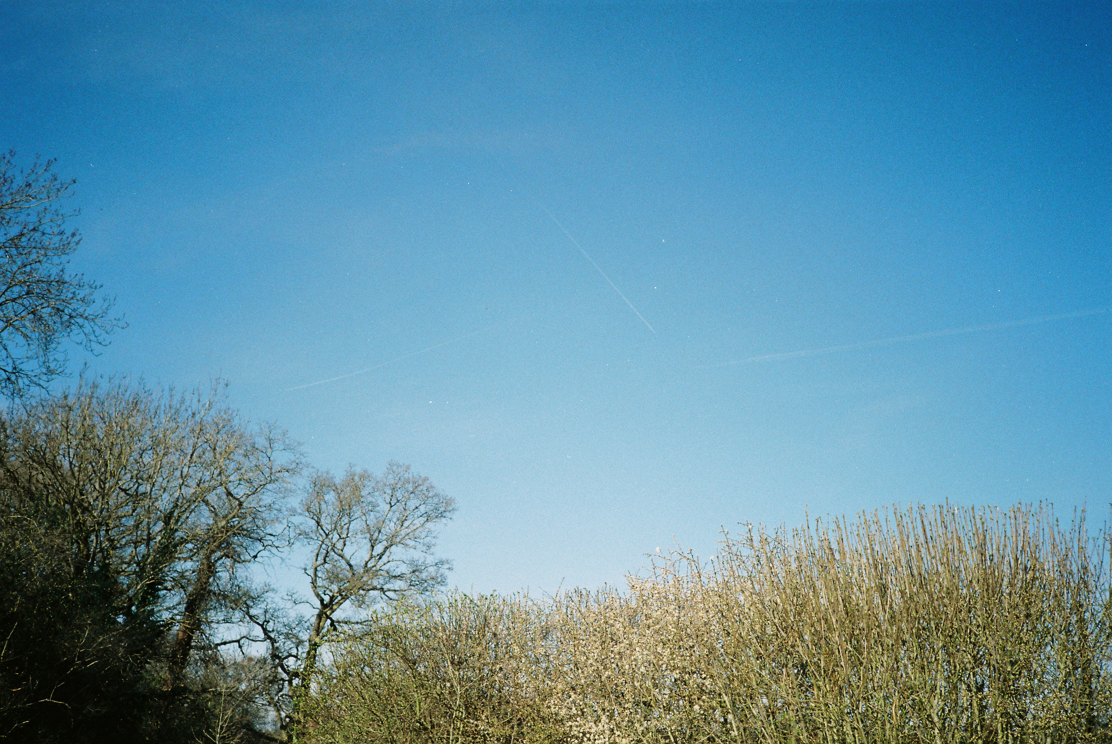 Photo by tanyabarrow