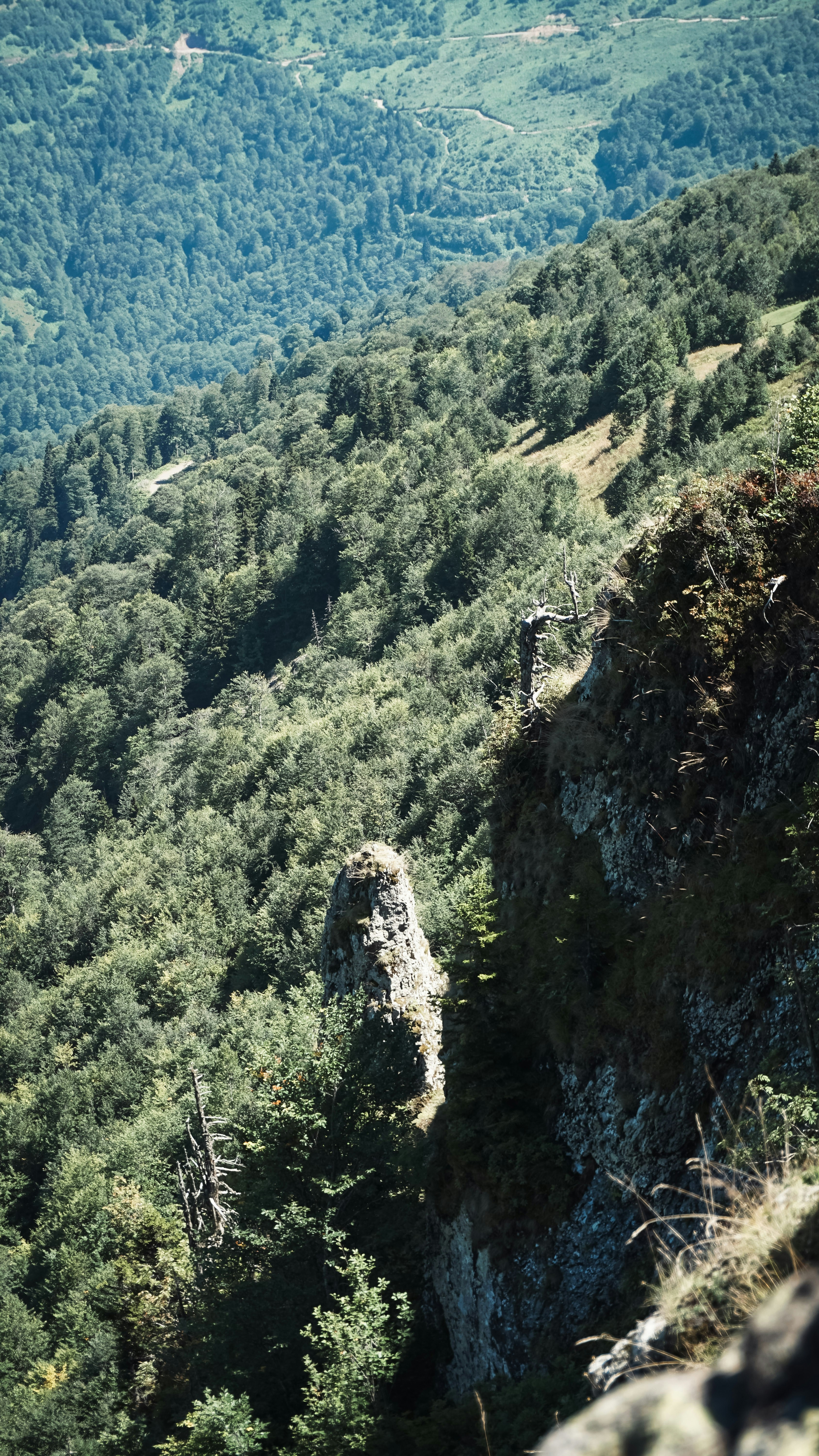 Photo by erdem_aydin