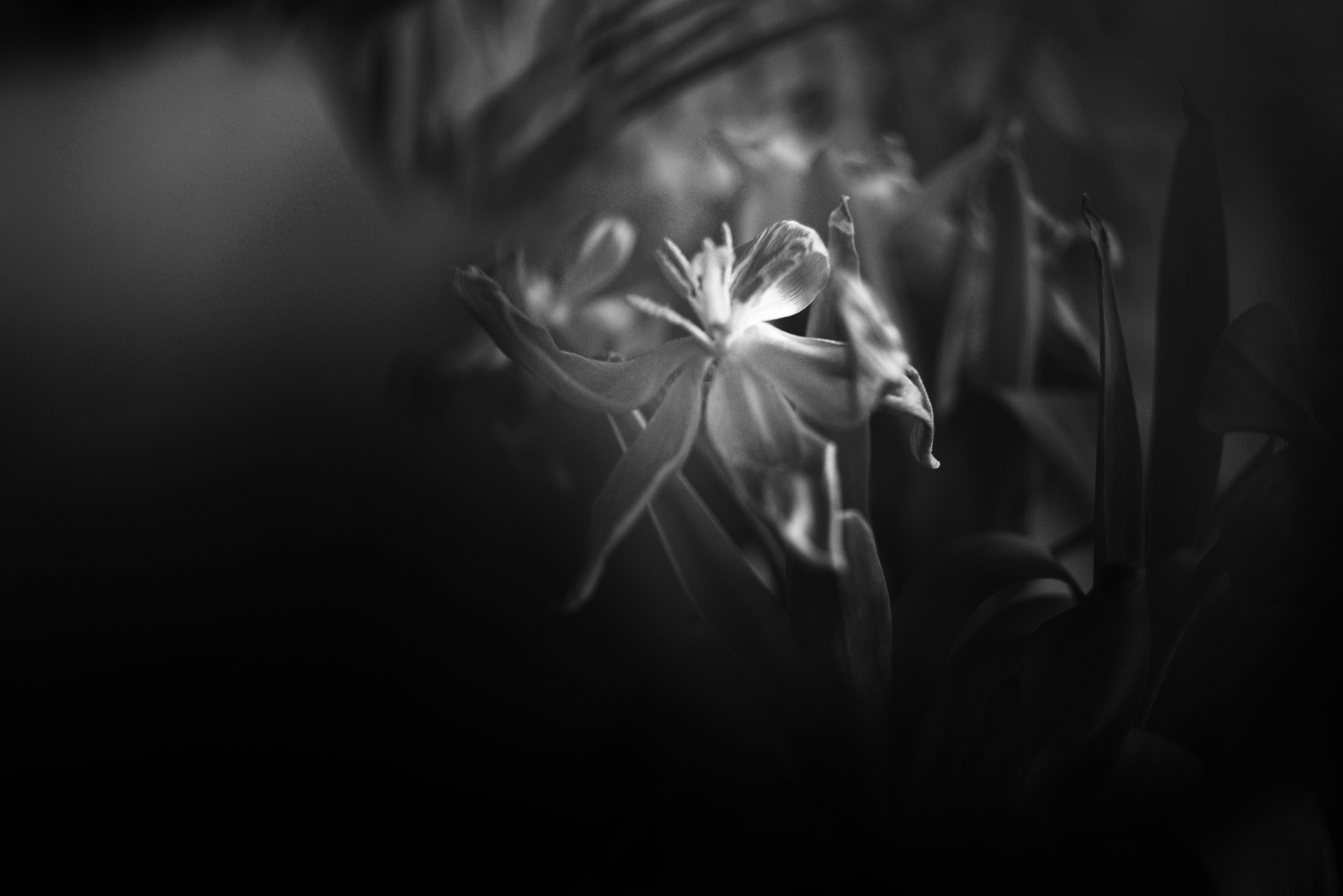 Photo by cherstve_pechivo