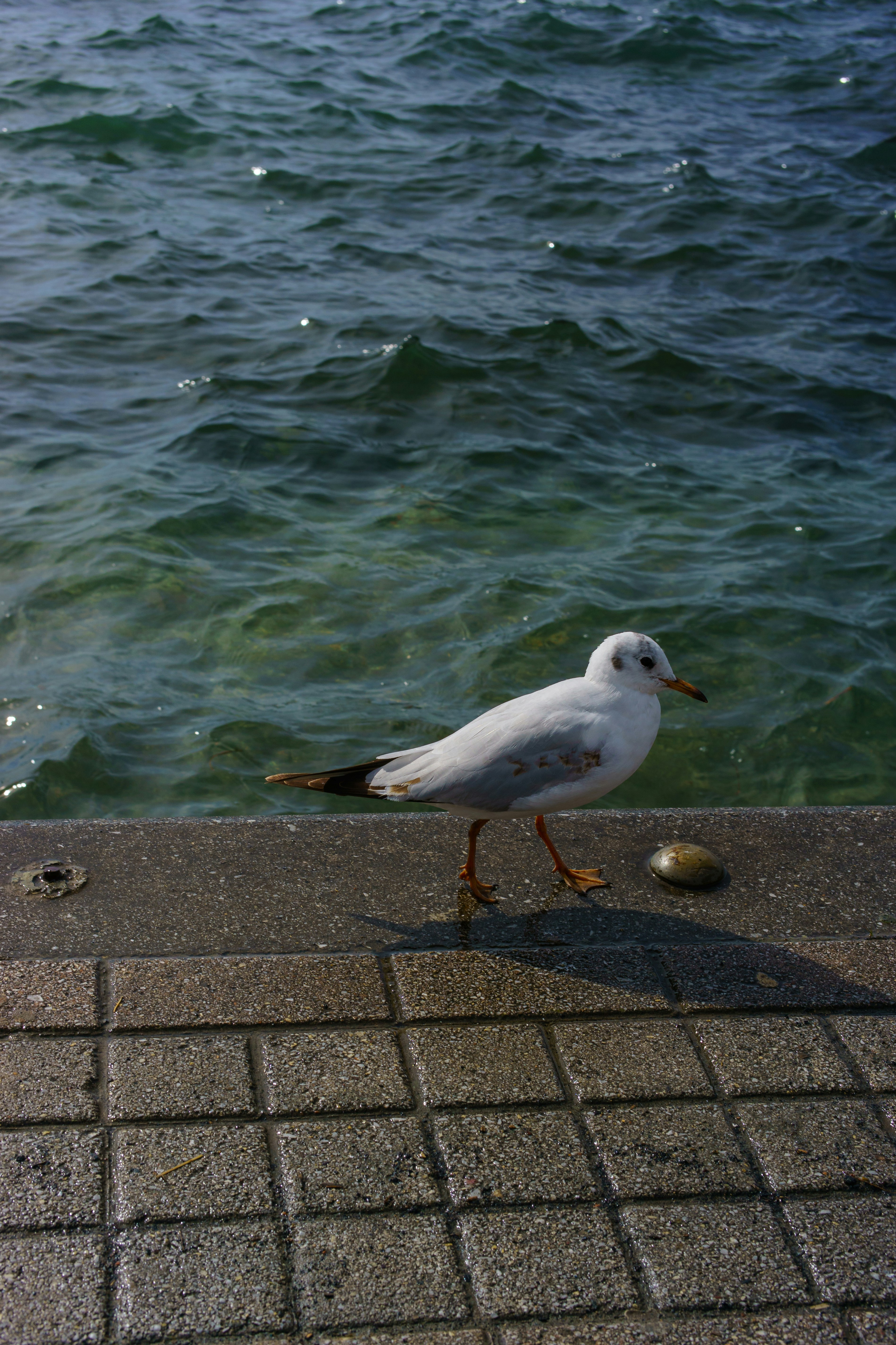 Photo by valentinn02_