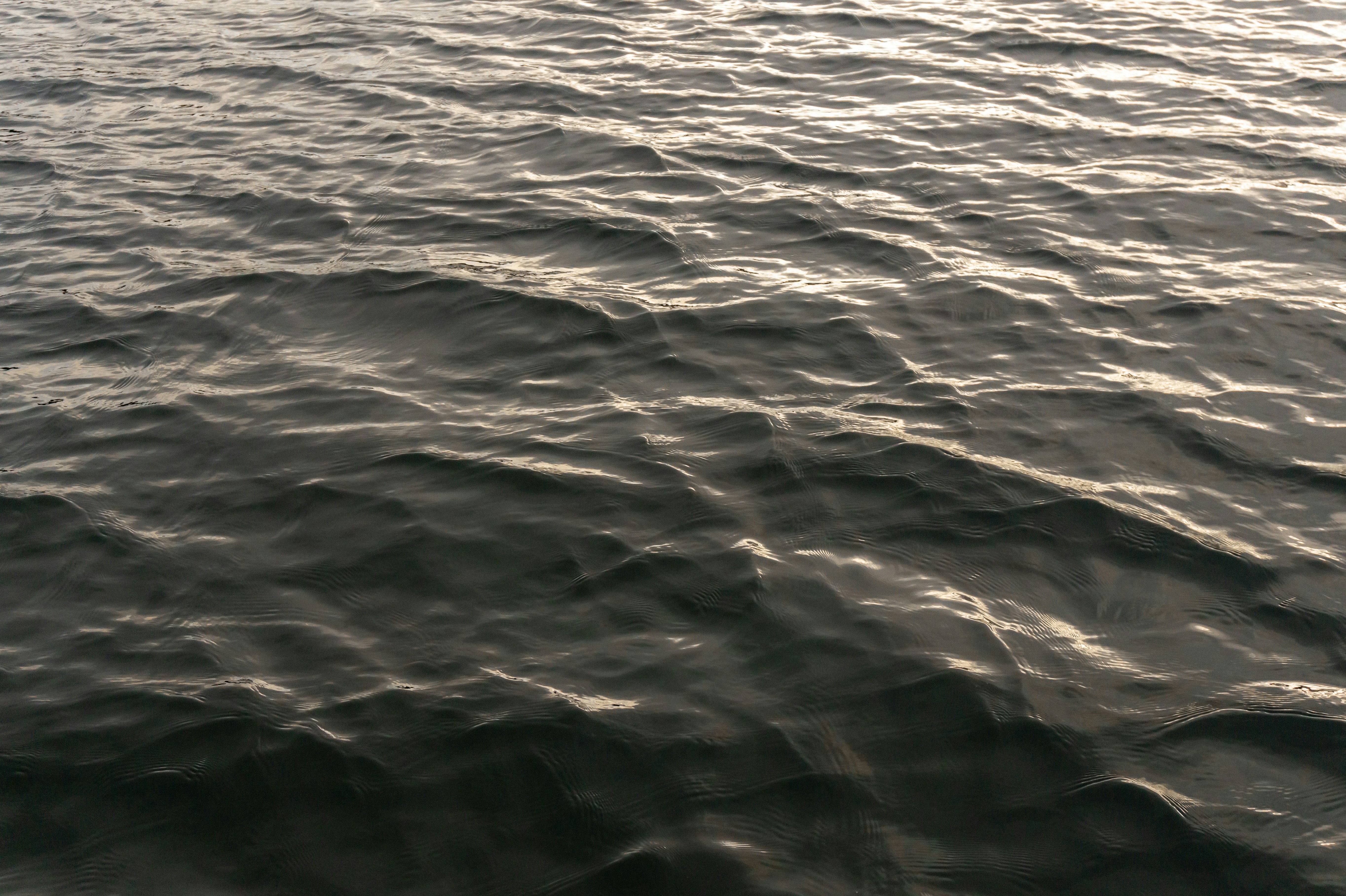 Photo by greg_rosenke