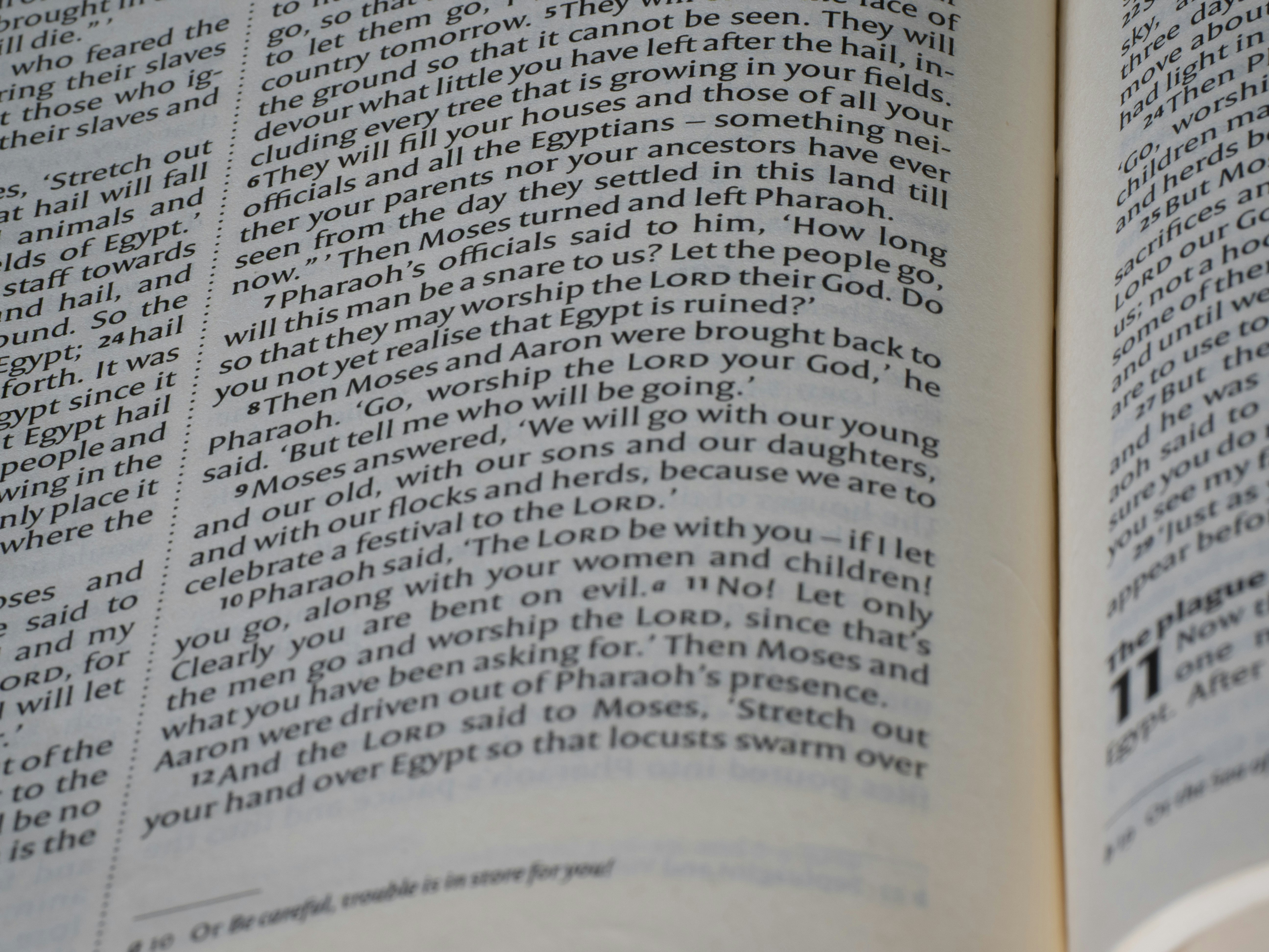 Close-up of an open book with text on pages.