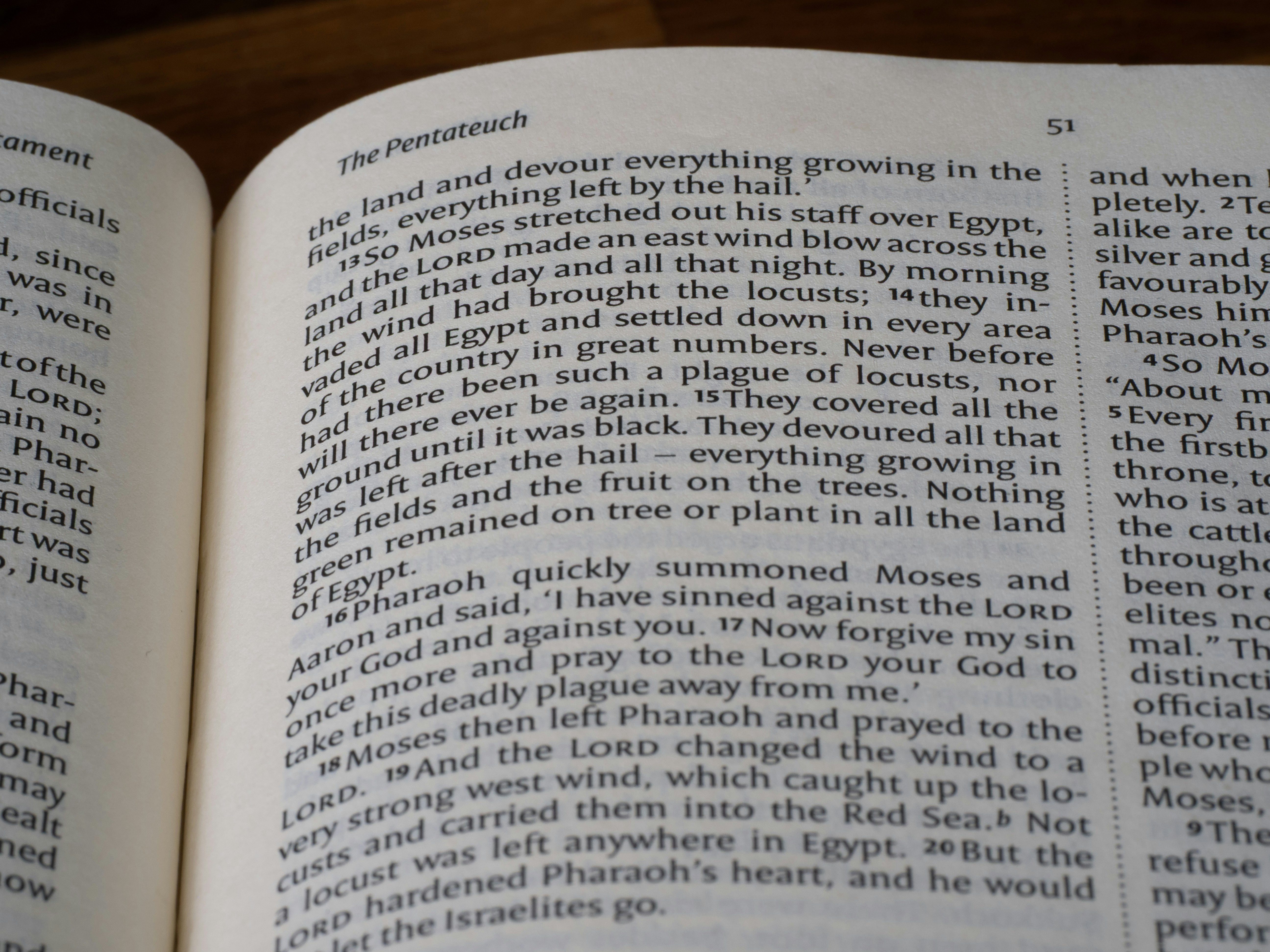 Close-up of an open book with text from the bible.