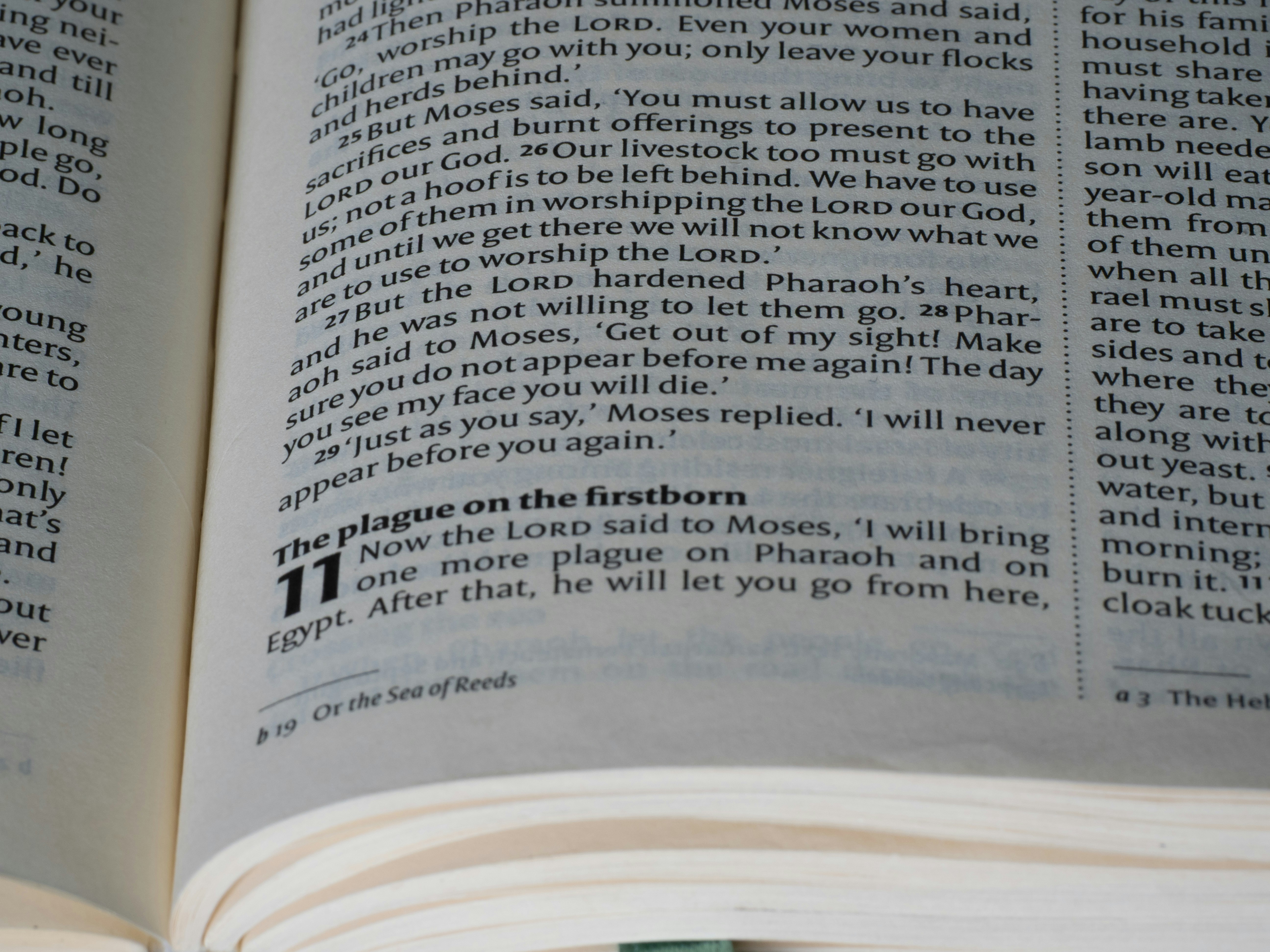 Close-up of an open book with text on pages.