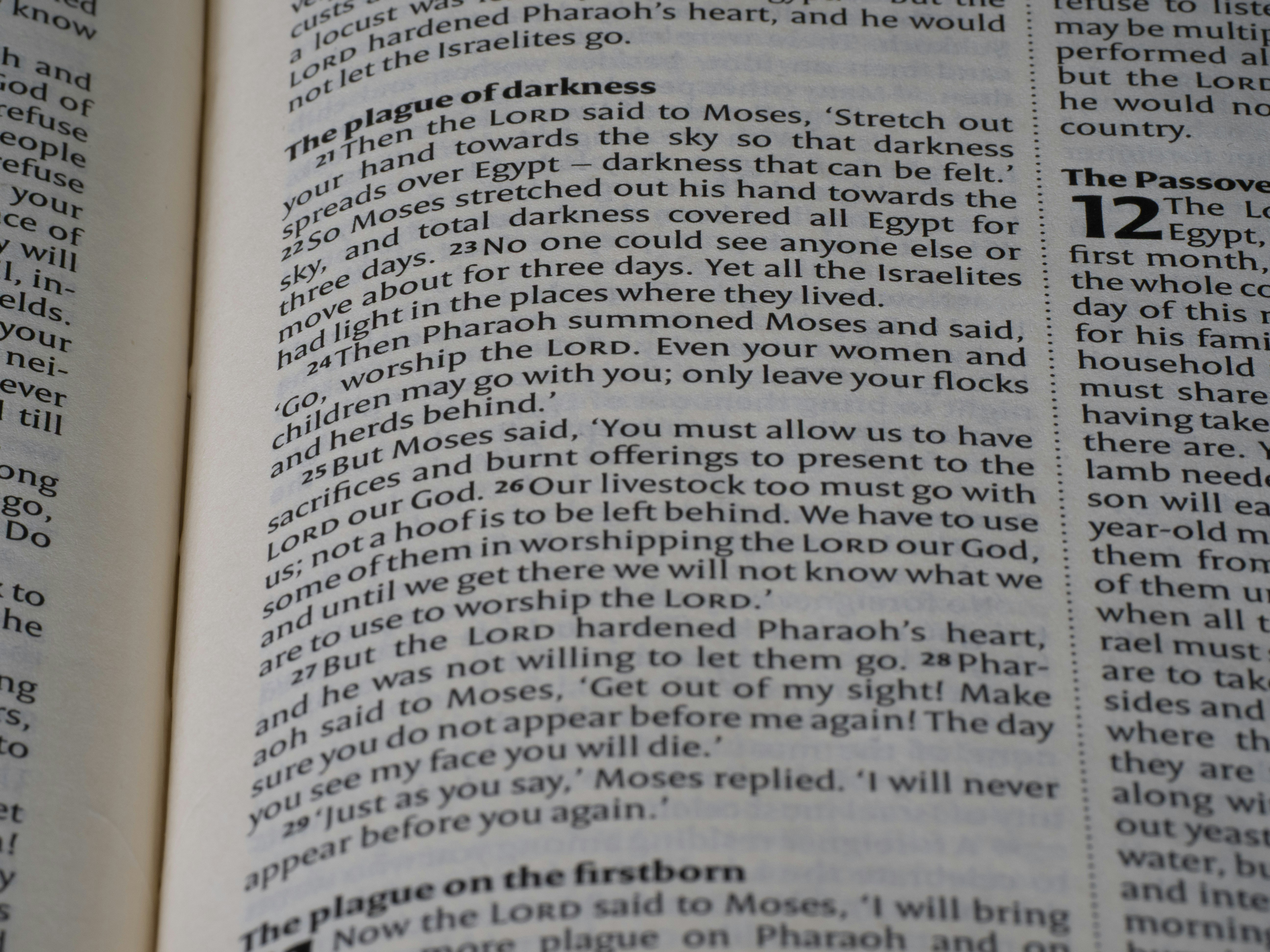 Close-up of text in an open book