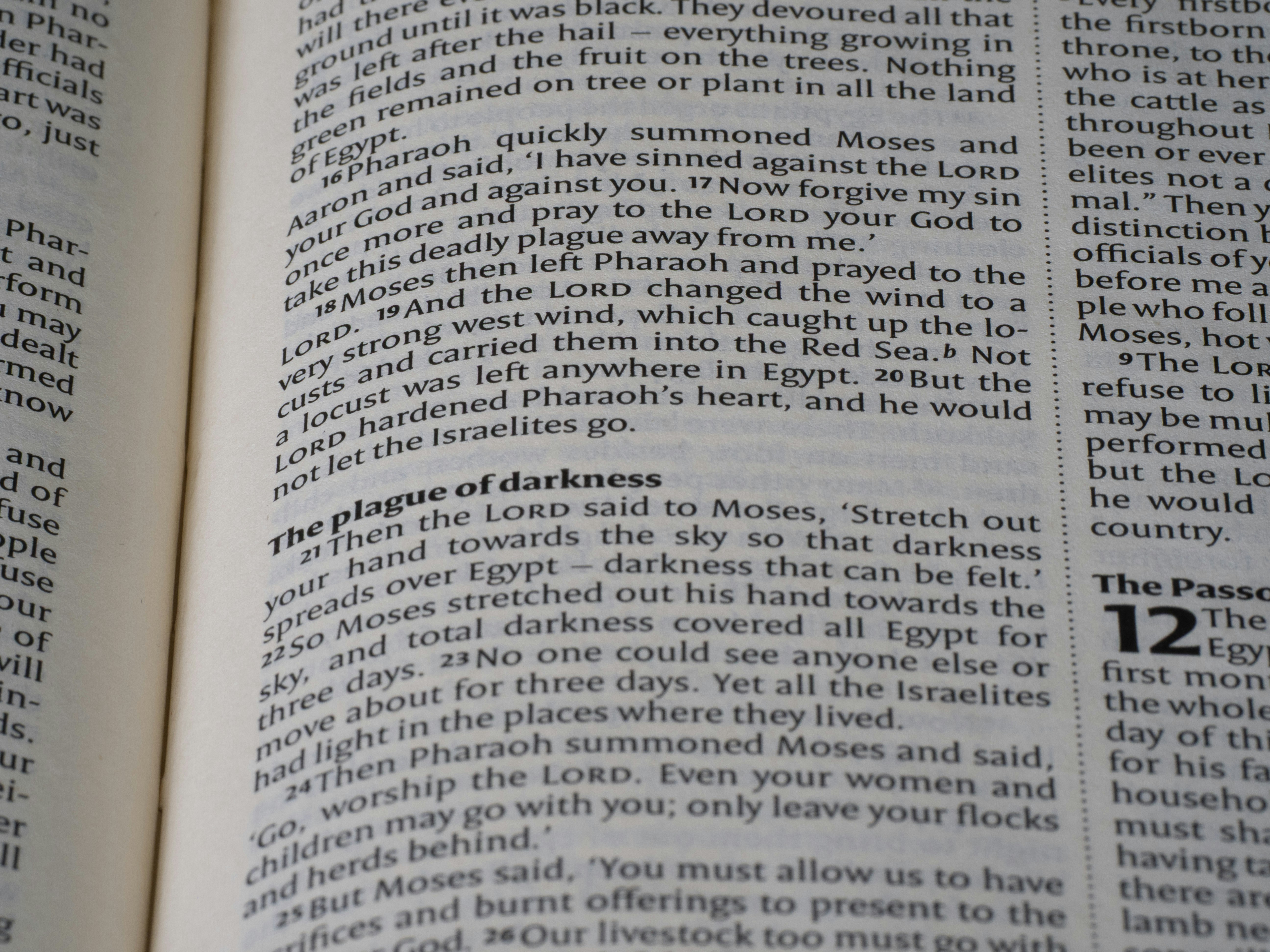 Close-up of an open book with text.