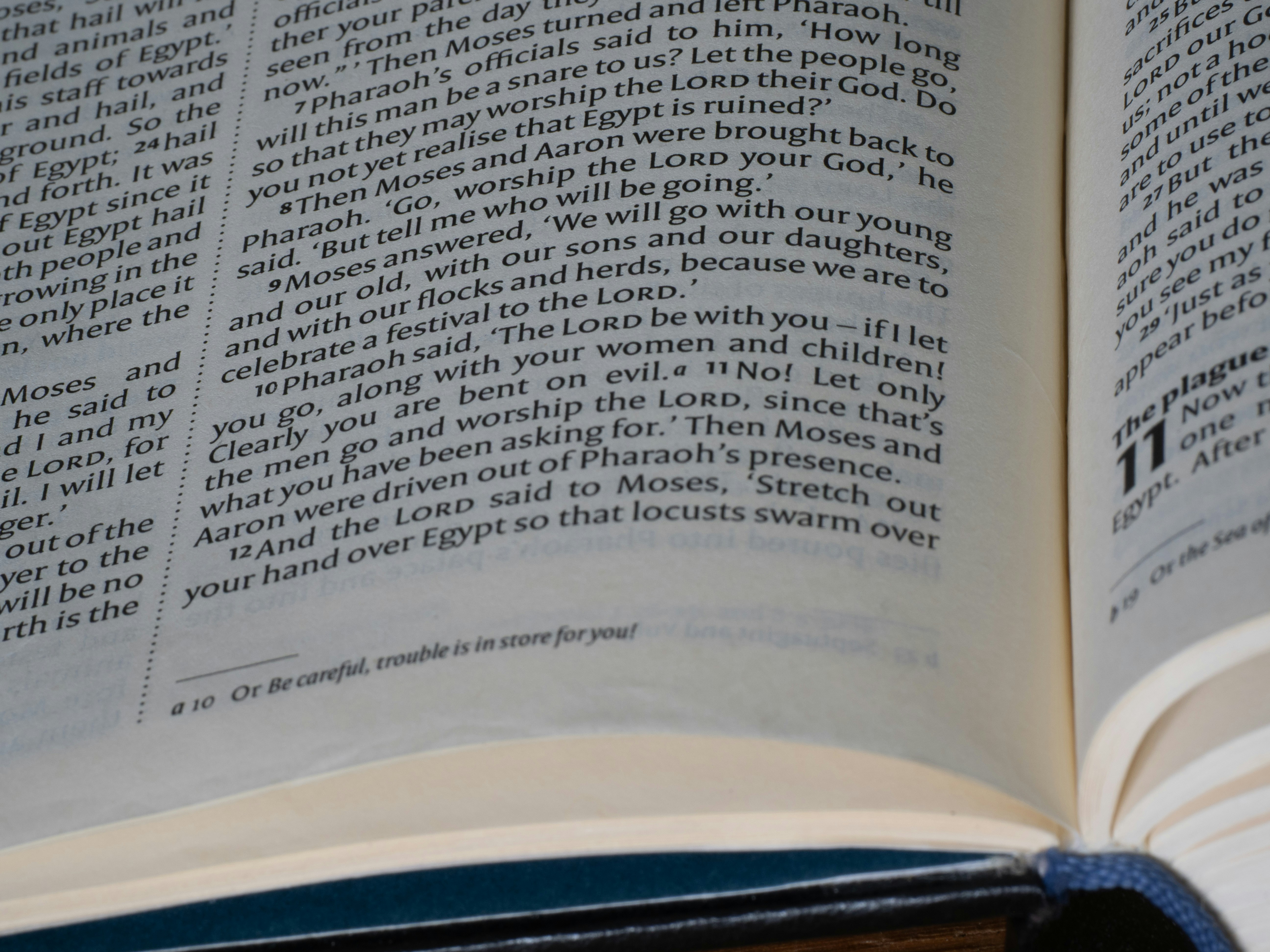 Close-up of an open book with text.